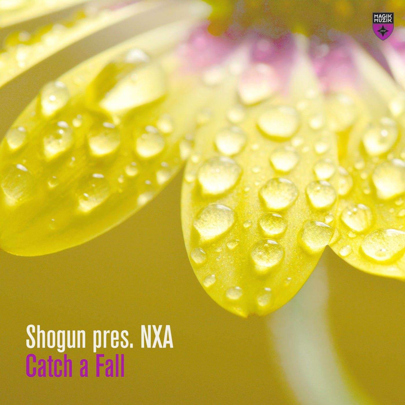 Cover - Shogun, Nxa - Catch a Fall (Extended Mix) Promo tools