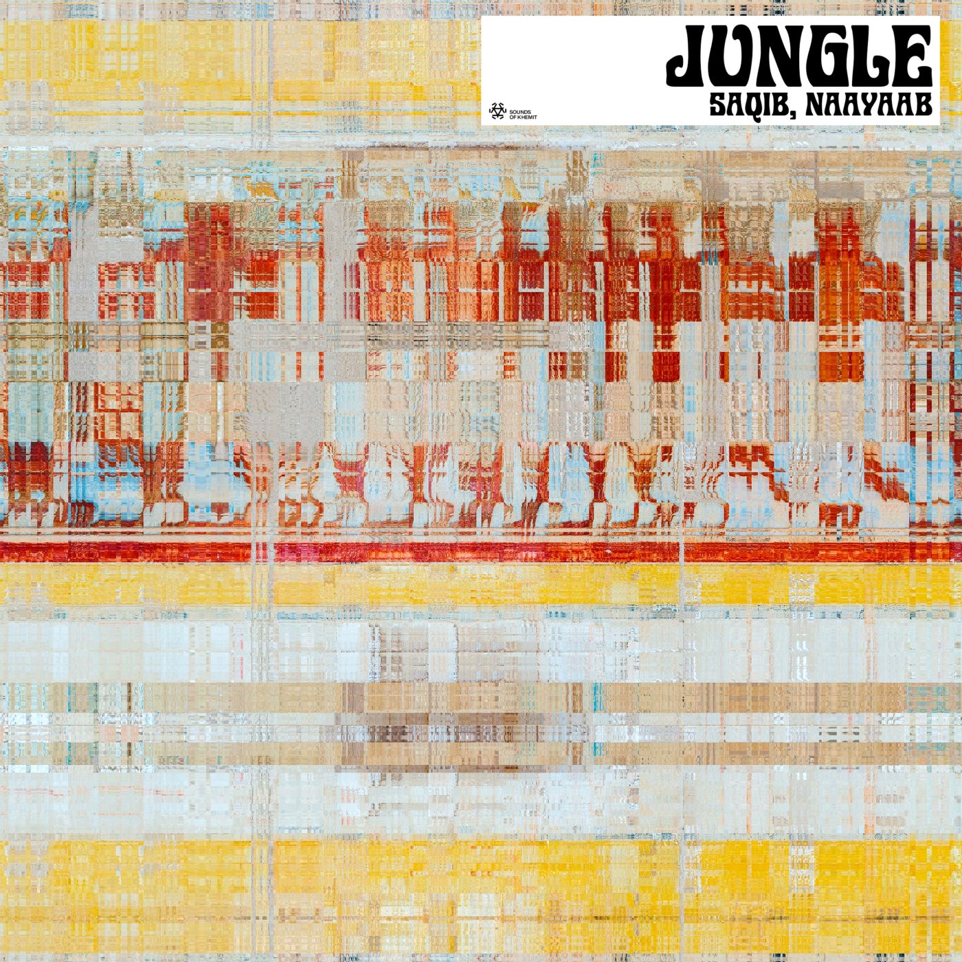 Cover - SAQIB, Naayaab - Jungle (Original Mix) Promo tools