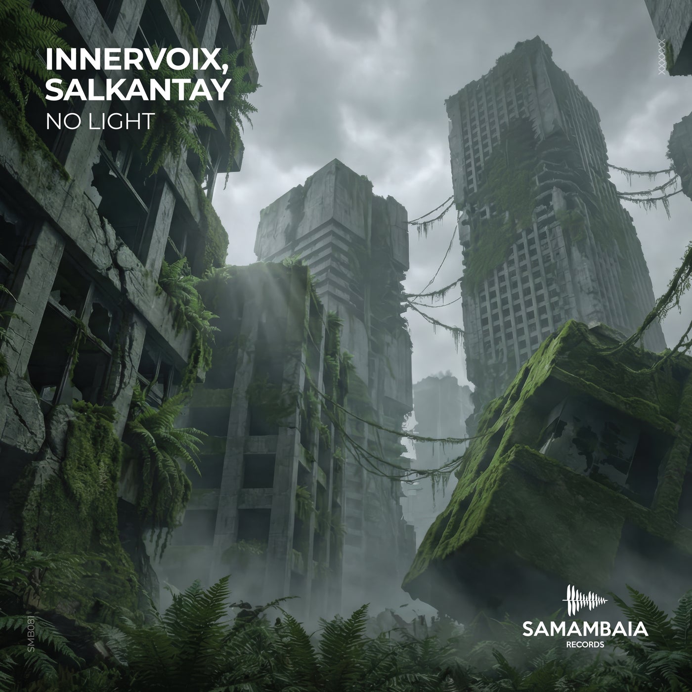 Cover - Innervoix, Salkantay - No Light (Original Mix) Promo tools