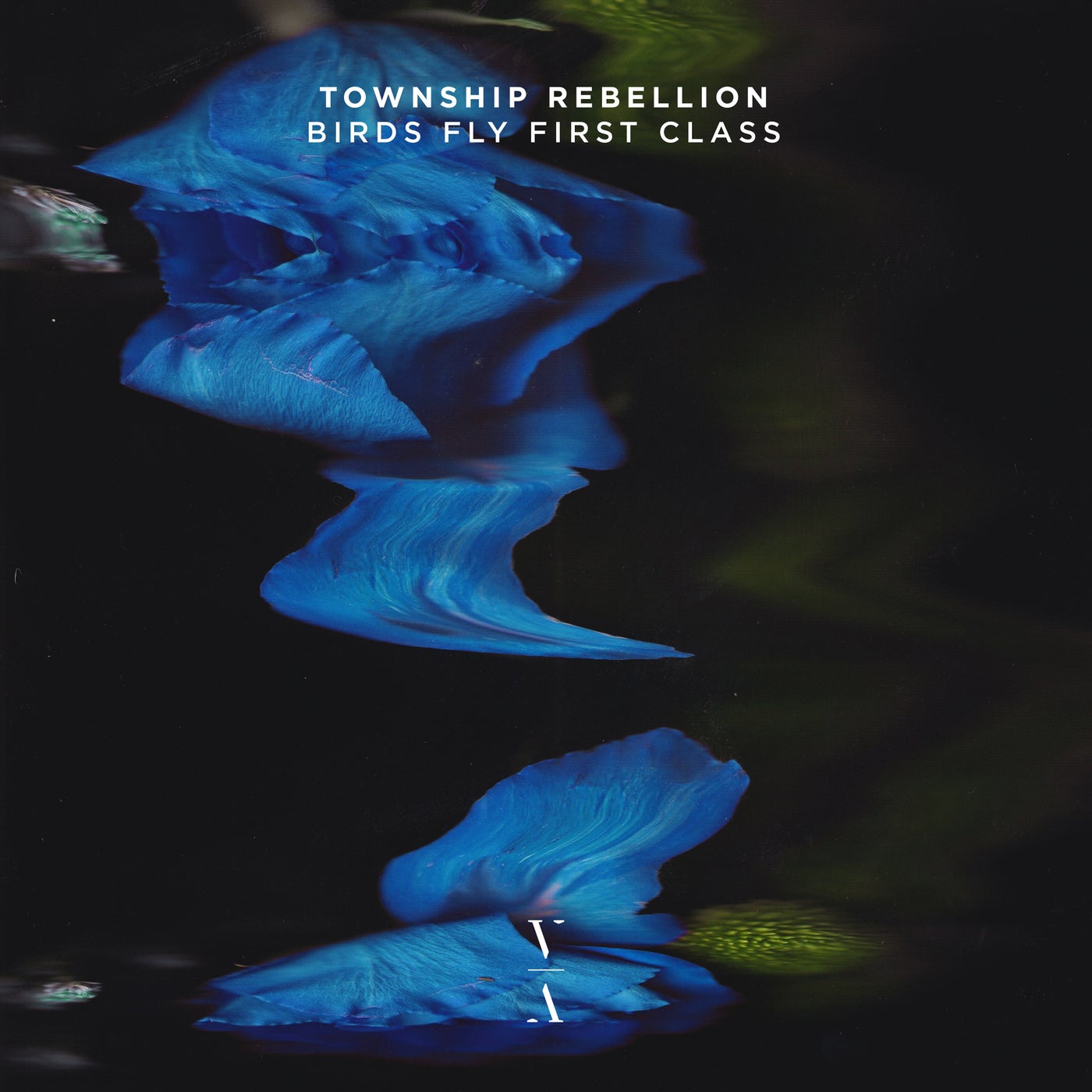 Cover - Township Rebellion - Birds Fly First Class (Original Mix) Promo tools