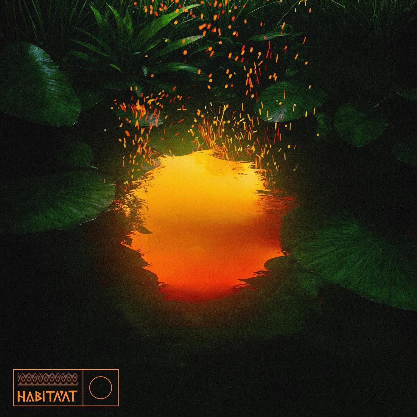 Cover - Habitaat - Move like Fire (Original Mix) Promo tools