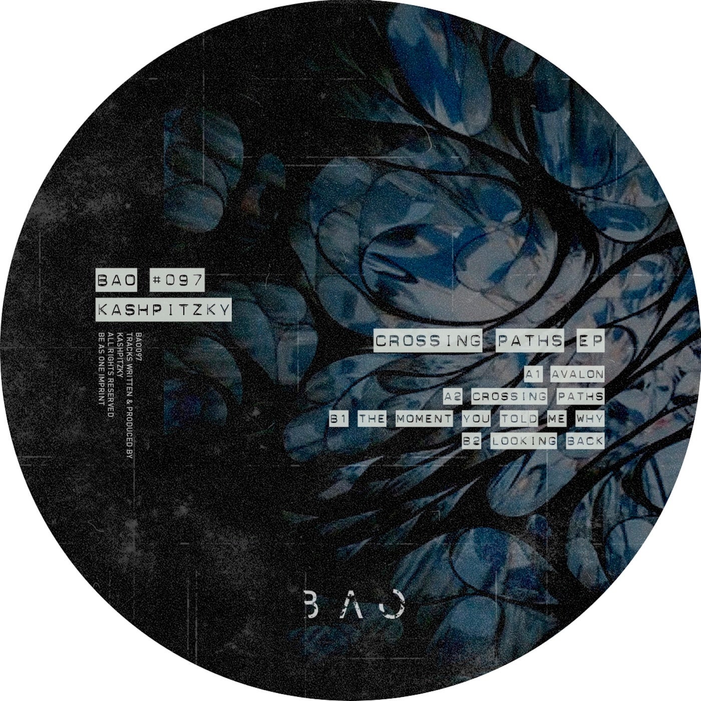 Cover - Kashpitzky - Avalon (Original Mix) Promo tools