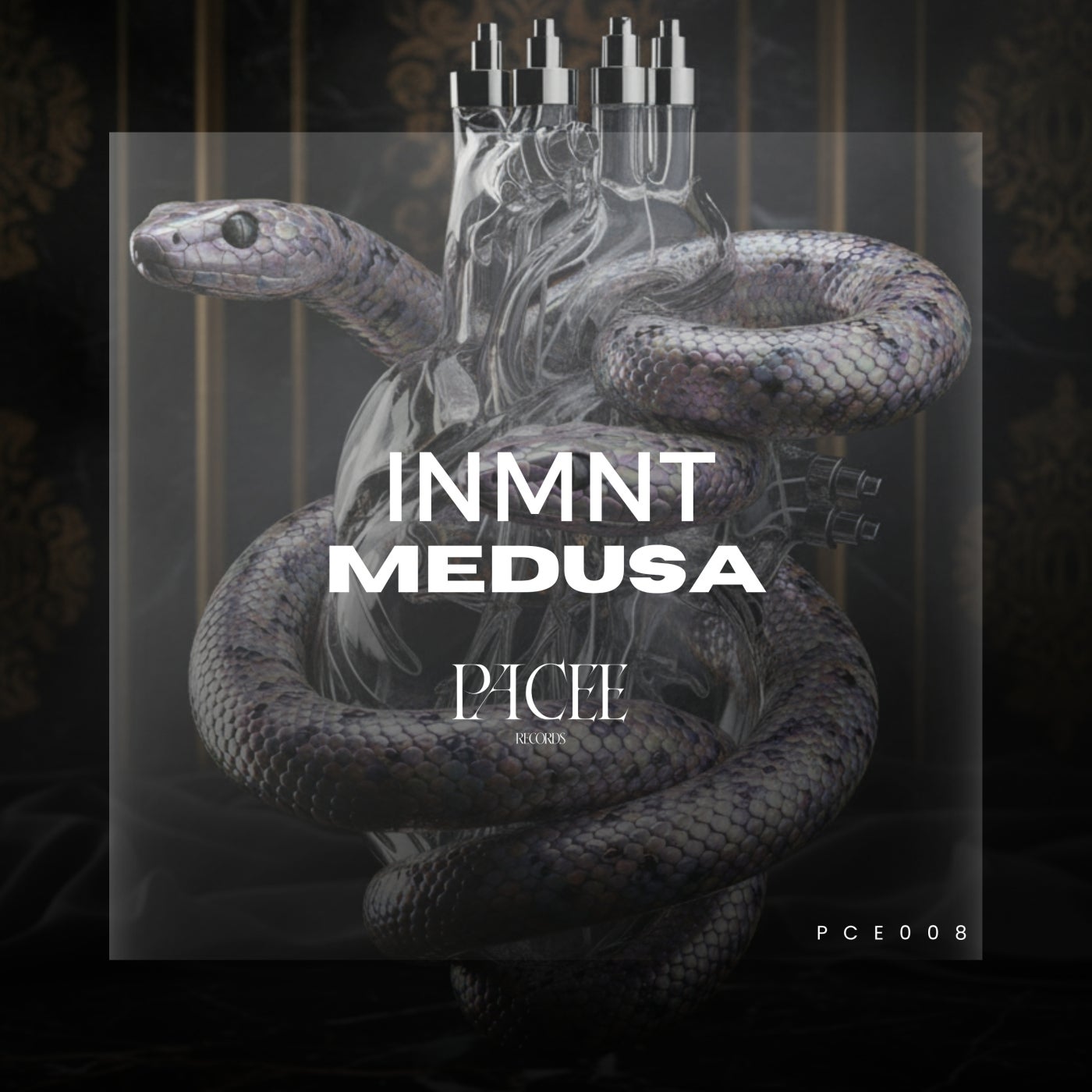 Cover - INMNT - Medusa (Extended Mix) Promo tools