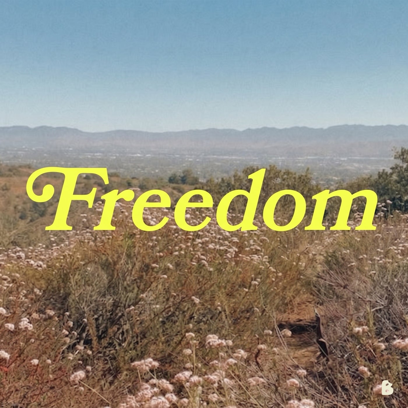 Cover - Firstclass - Freedom (Original Mix) Promo tools