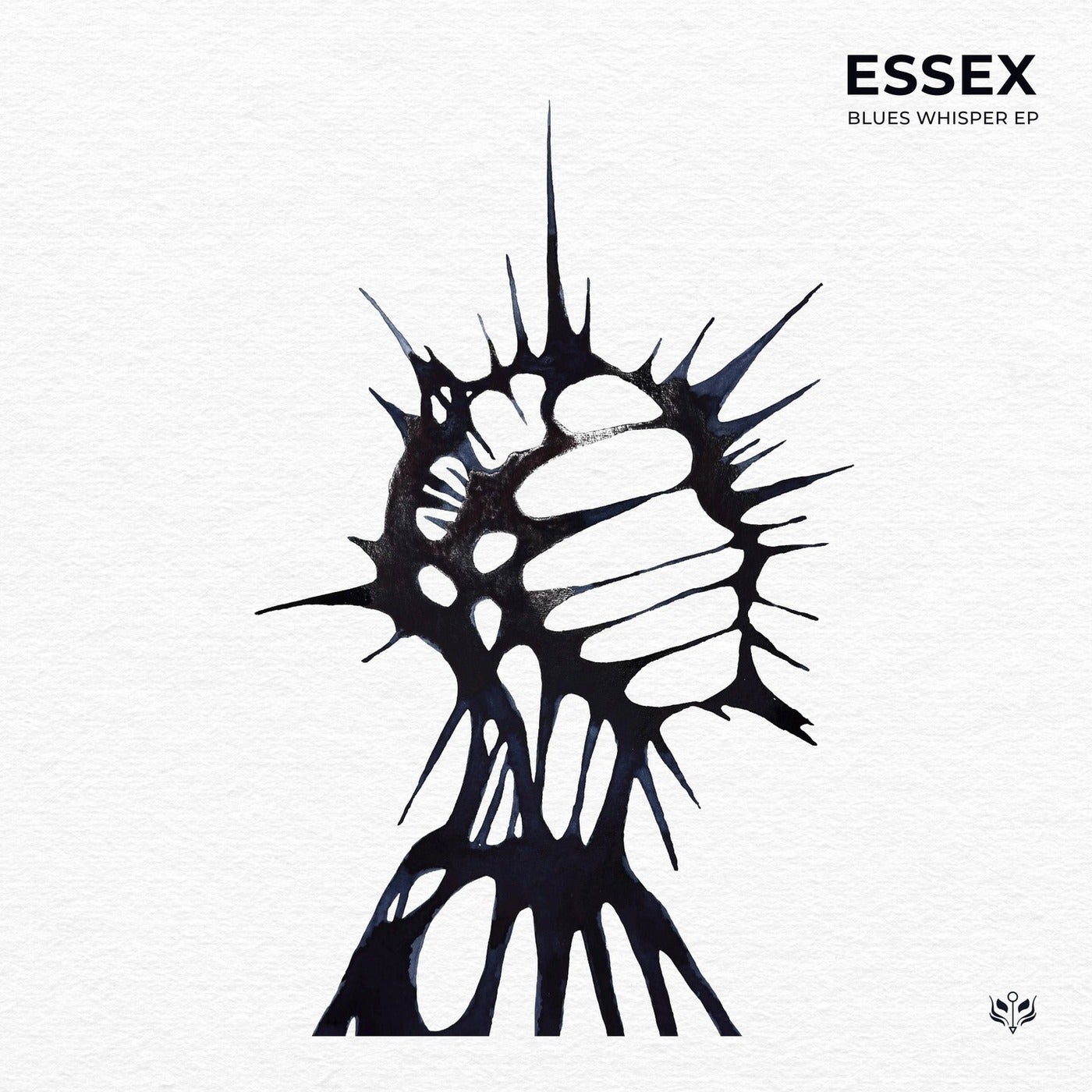 Cover - Essex, Budajevo, Kamai Music - Te Taka (Original Mix) Promo tools