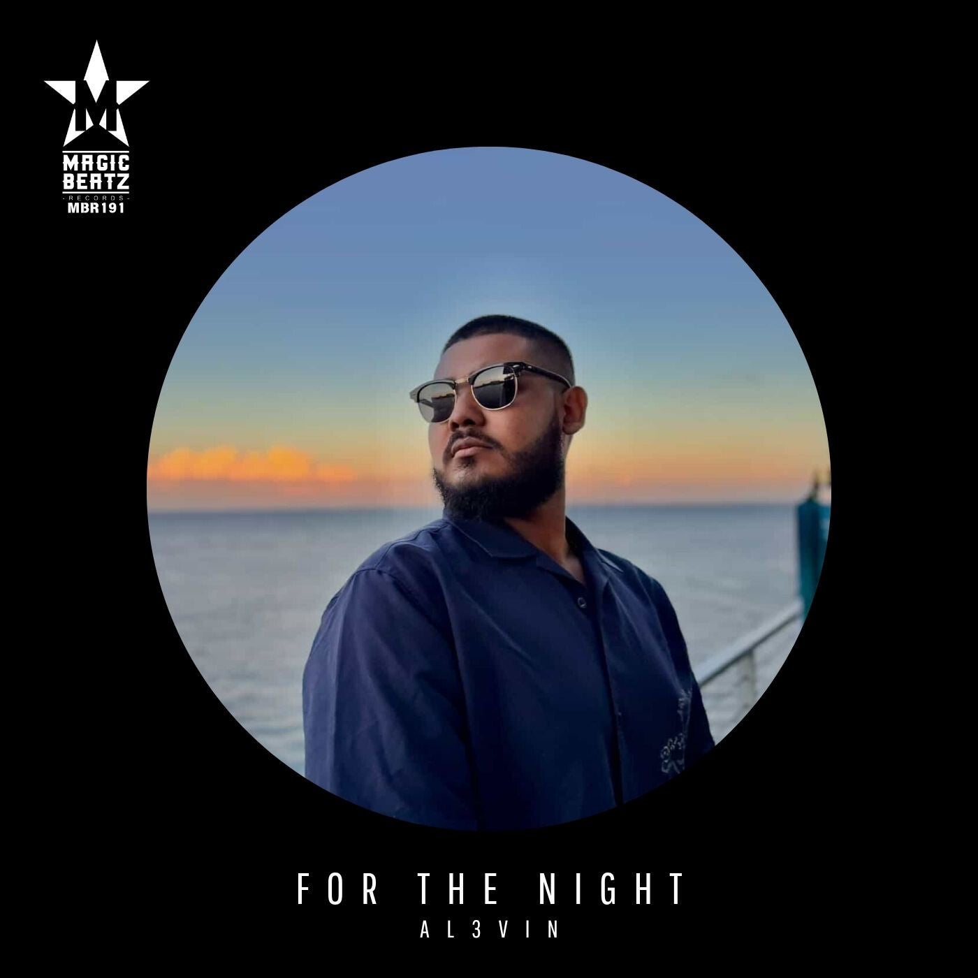 Cover - AL3VIN - For The Night (Original Mix) Promo tools