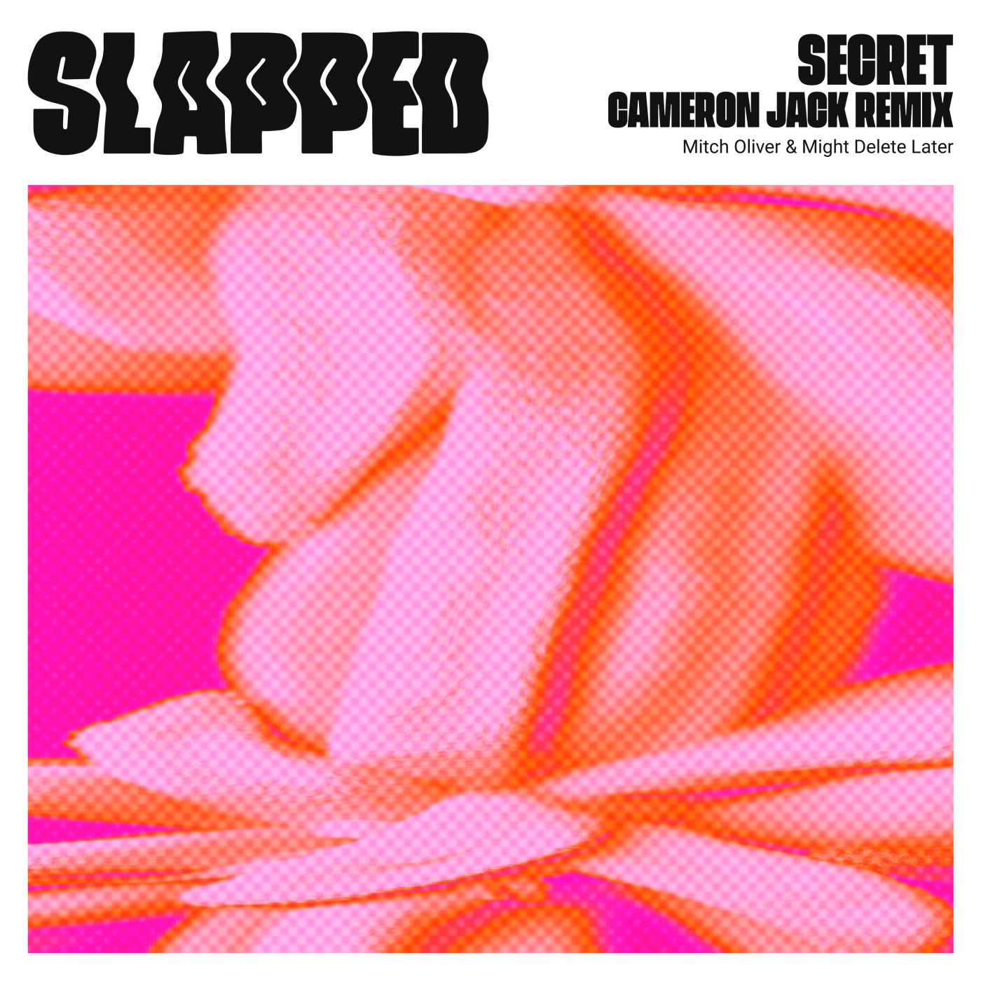 Cover - Mitch Oliver, Might Delete Later - Secret (Cameron Jack Remix) Promo tools