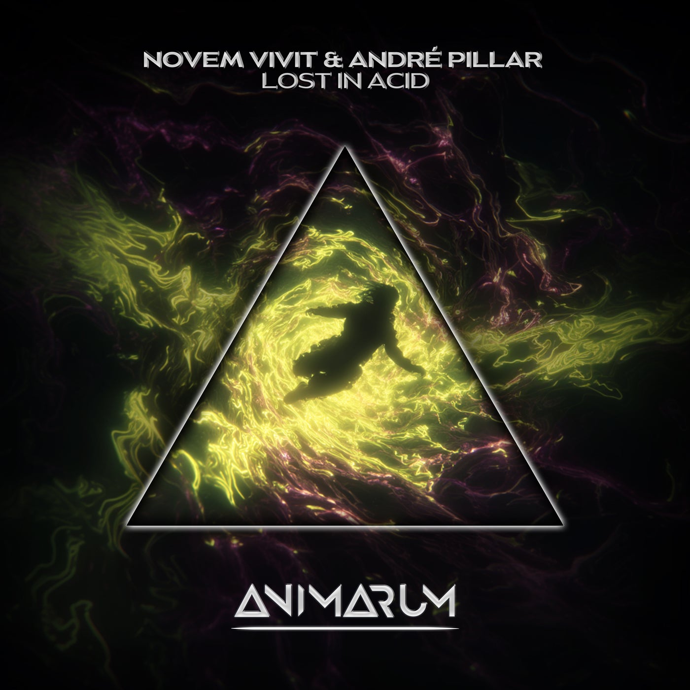 Cover - Novem Vivit, André Pillar - Lost in Acid (Original Mix) Promo tools