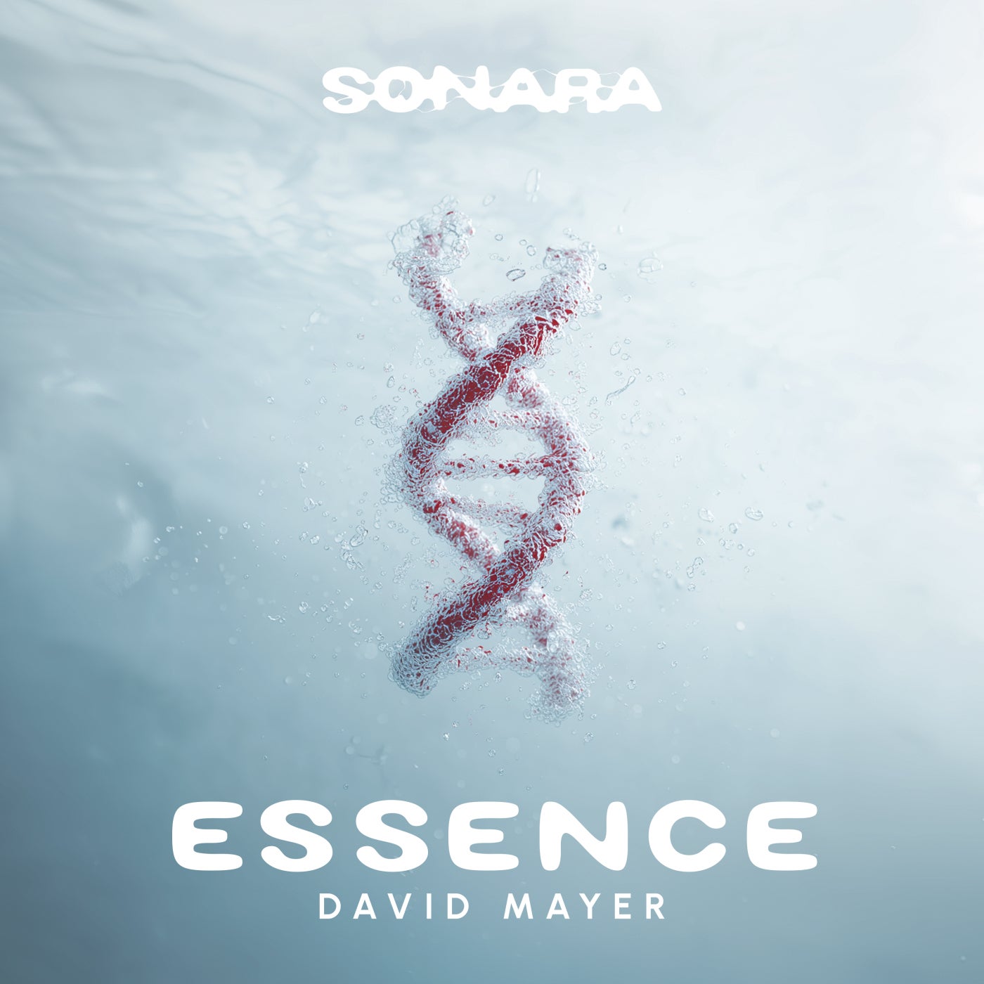 Cover - David Mayer - Essence (Original Mix) Promo tools