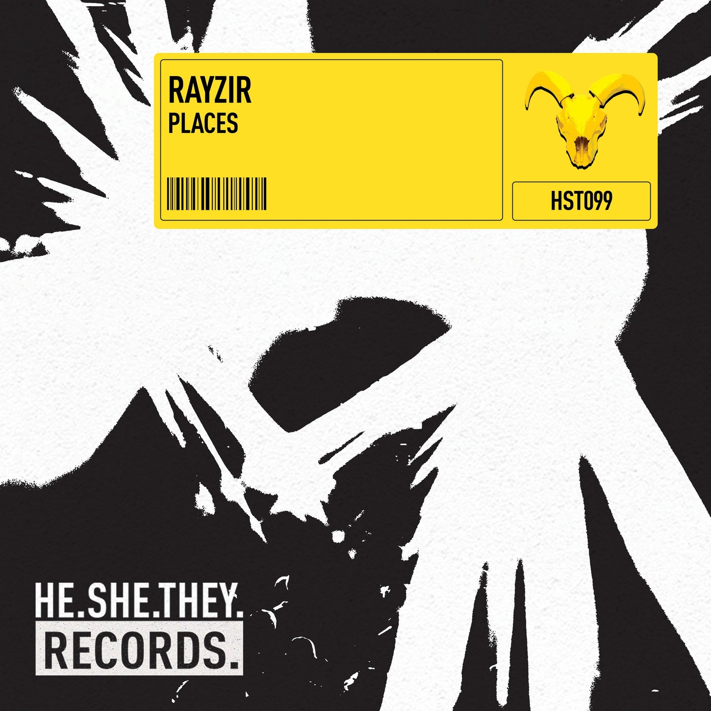 Cover - RAYZIR - Places (Extended) Promo tools
