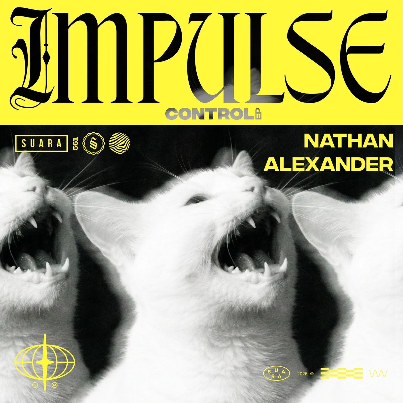 Cover - Nathan Alexander - Aether (Original Mix) Promo tools