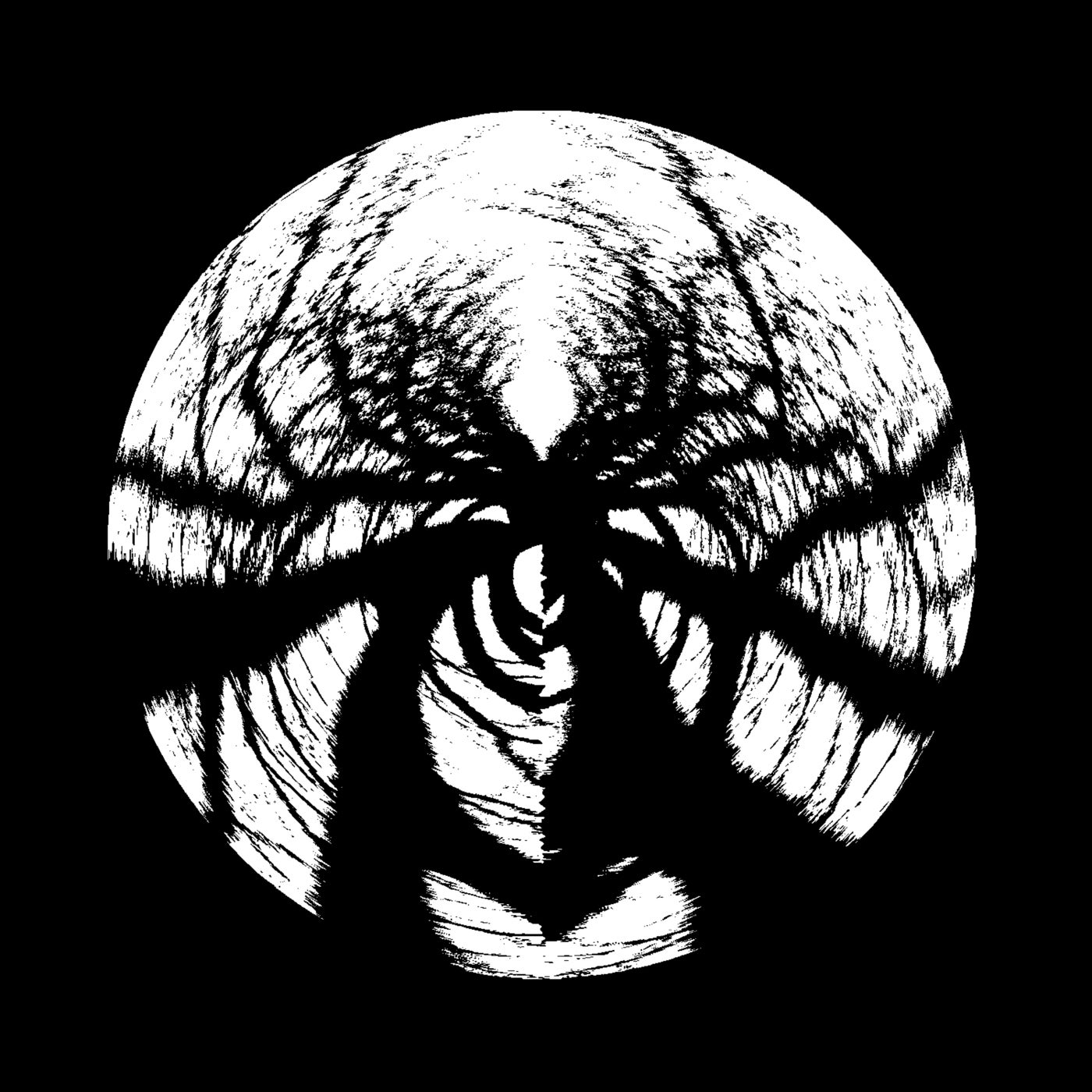 Cover - Phasmid - Pangolin (Original Mix) Promo tools