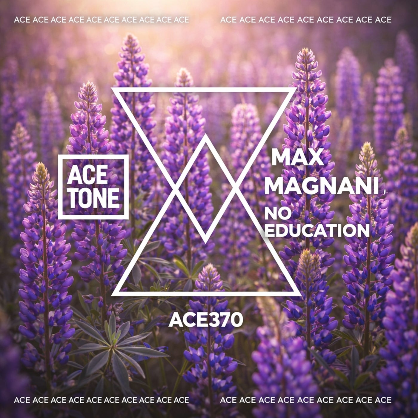 Cover - Max Magnani - No Education (Original Mix) Promo tools