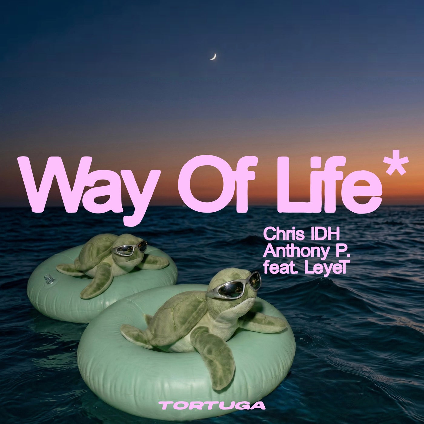 Cover - Chris IDH, LeyeT, Anthony P. (CH) - Way Of Life (Original Mix) Promo tools