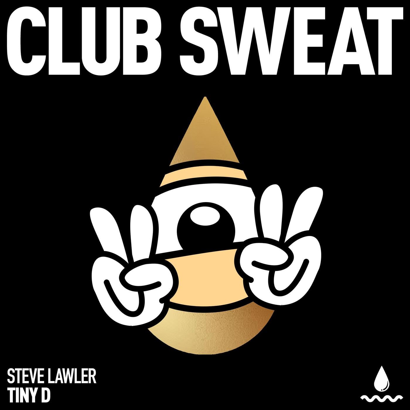 Cover - Steve Lawler - Tiny D (Extended Mix) Promo tools