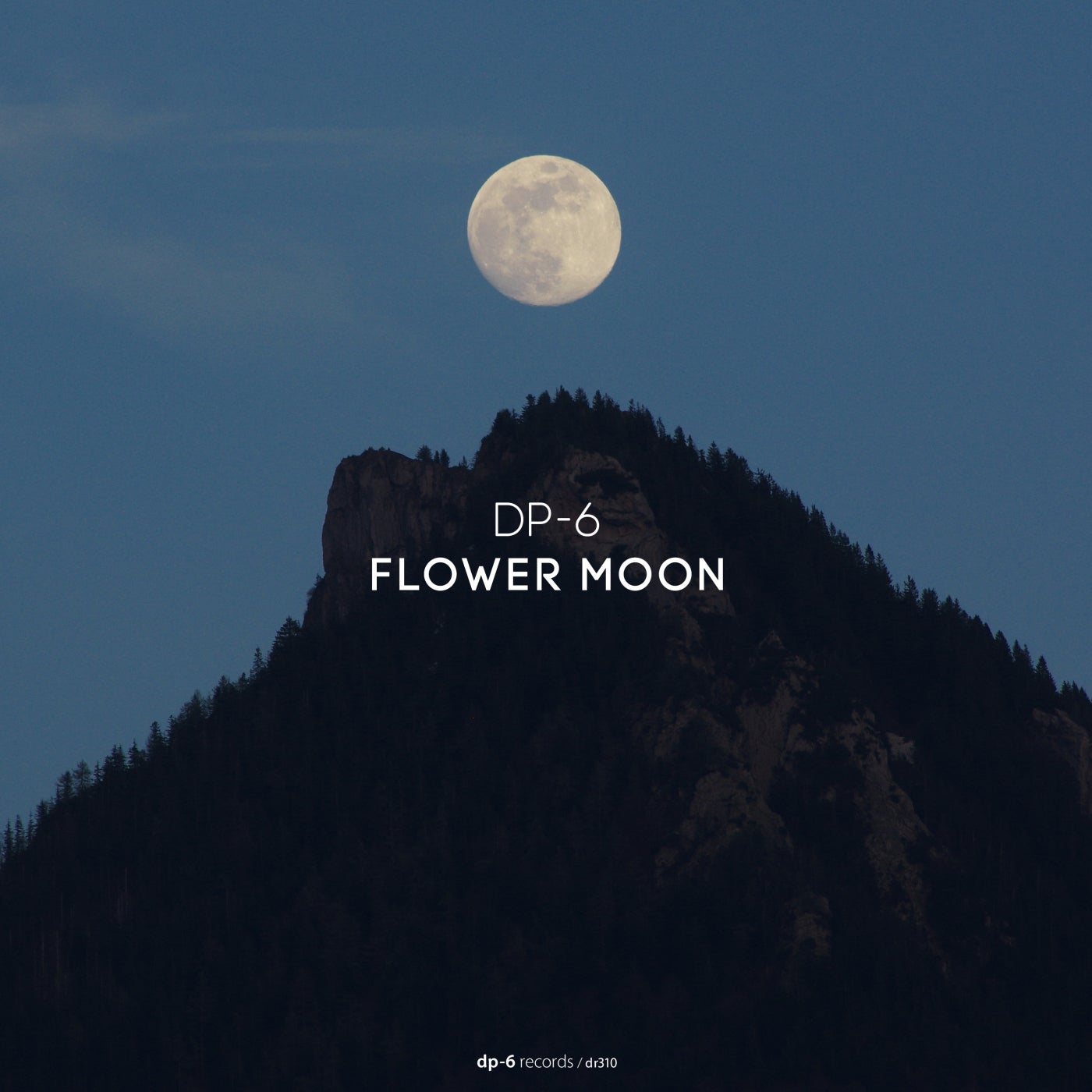 Cover - DP-6 - Flower Moon (Original Mix) Promo tools