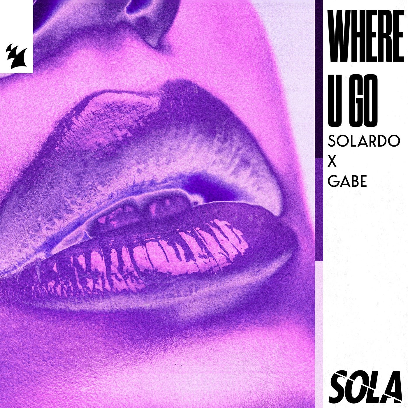 Cover - Gabe, Solardo - Where U Go (Extended Mix) Promo tools