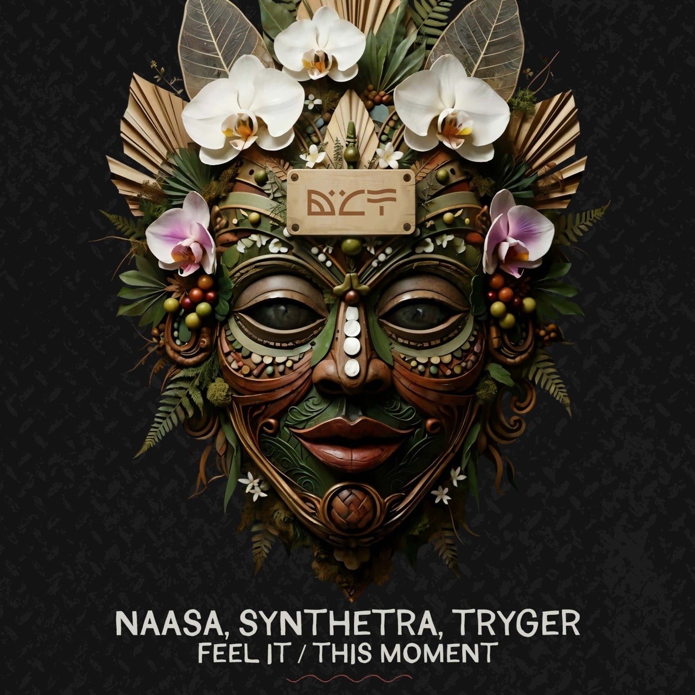 Cover - NAASA, Synthetra - Feel It (Extended Mix) Promo tools