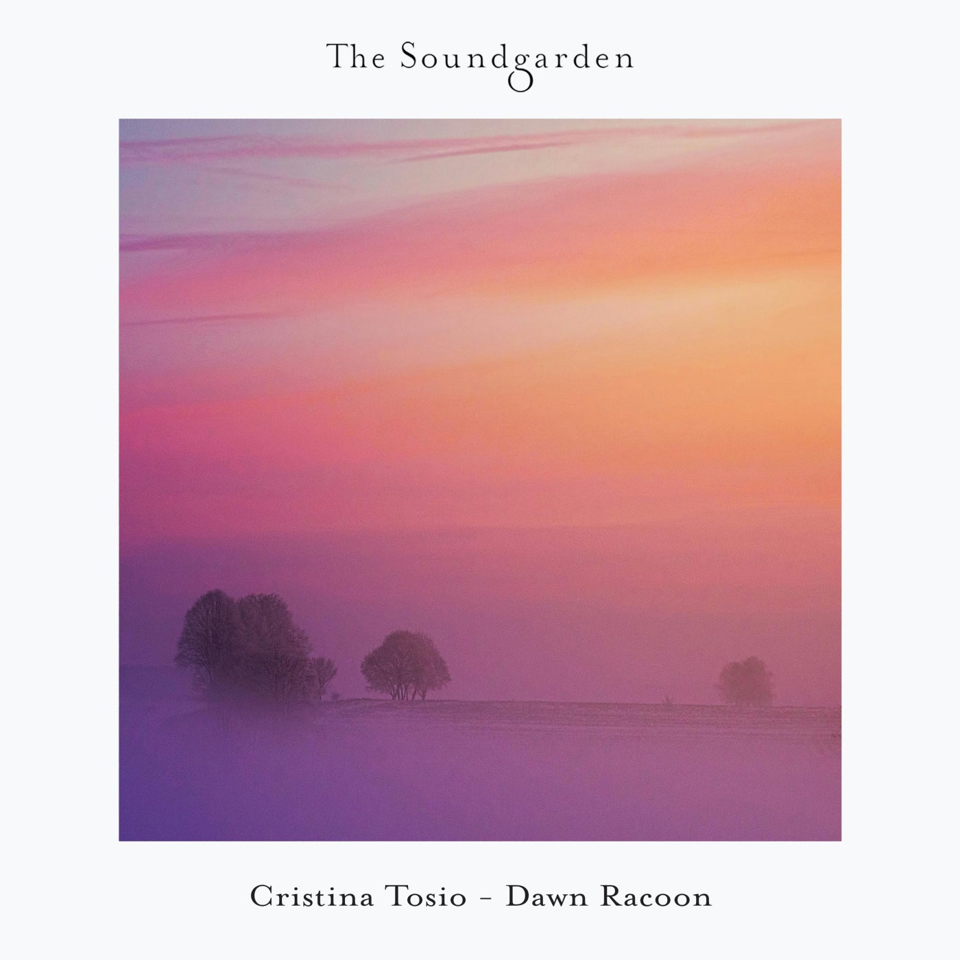 Cover - Cristina Tosio - Mapache (Dub Mix) Promo tools