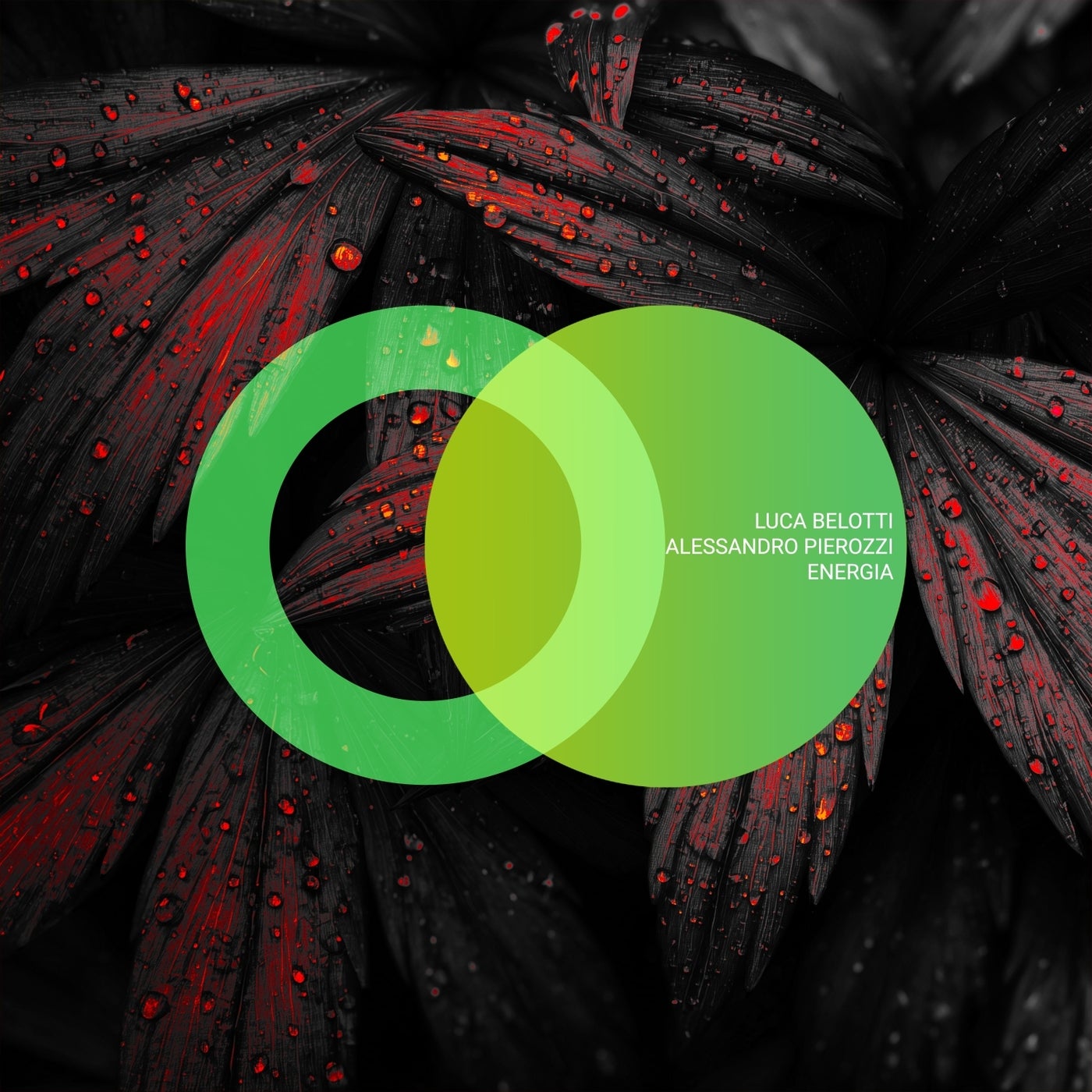 Cover - Luca Belotti - A New Beginning (Original Mix) Promo tools