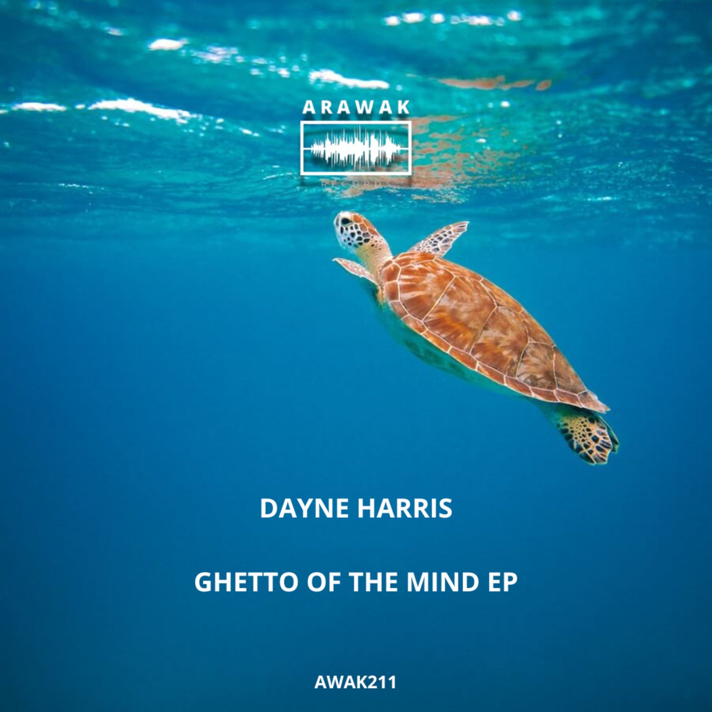 Cover - Dayne Harris - Ghetto of the Mind (Original Mix) Promo tools