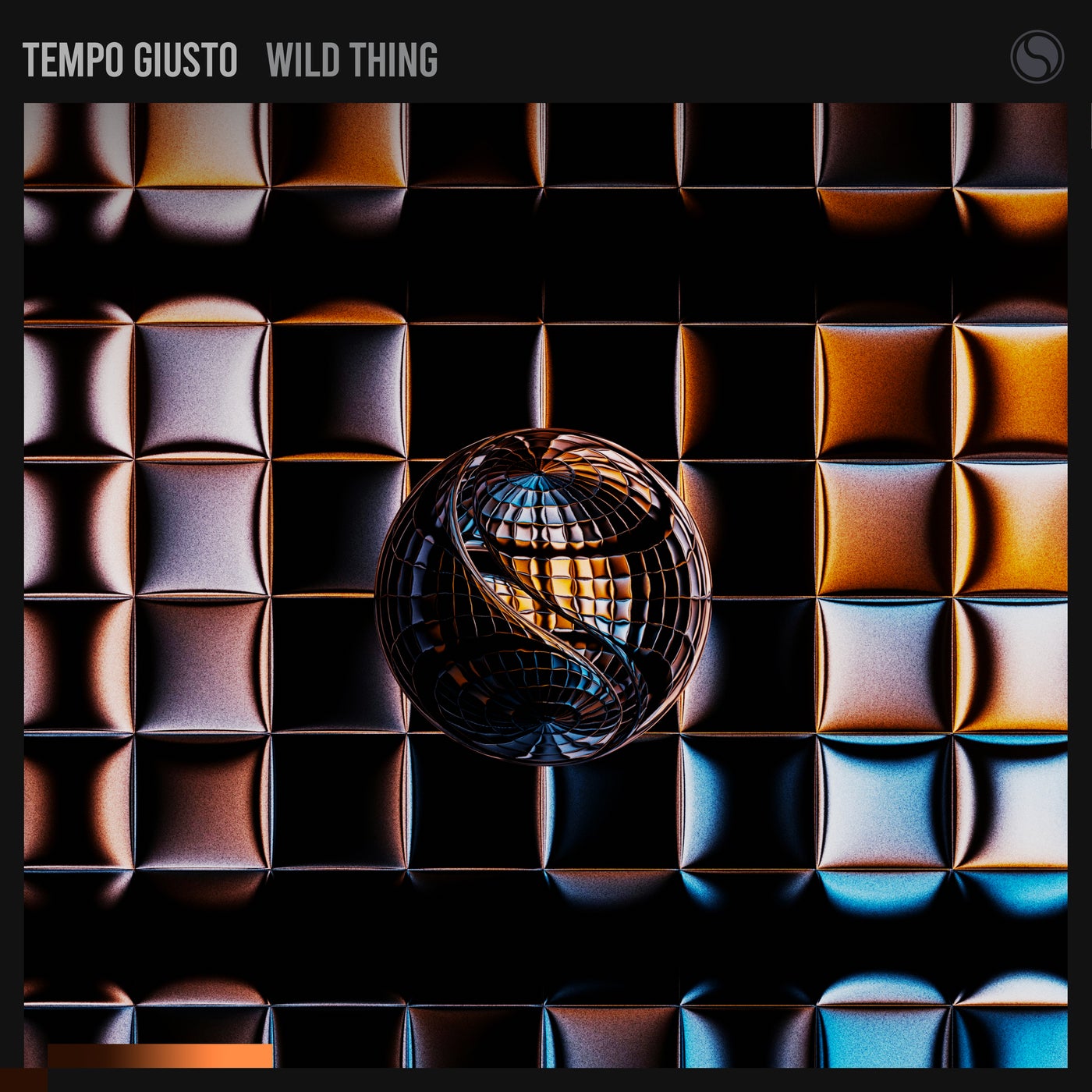 Cover - Tempo Giusto - Wild Thing (Extended Mix) Promo tools