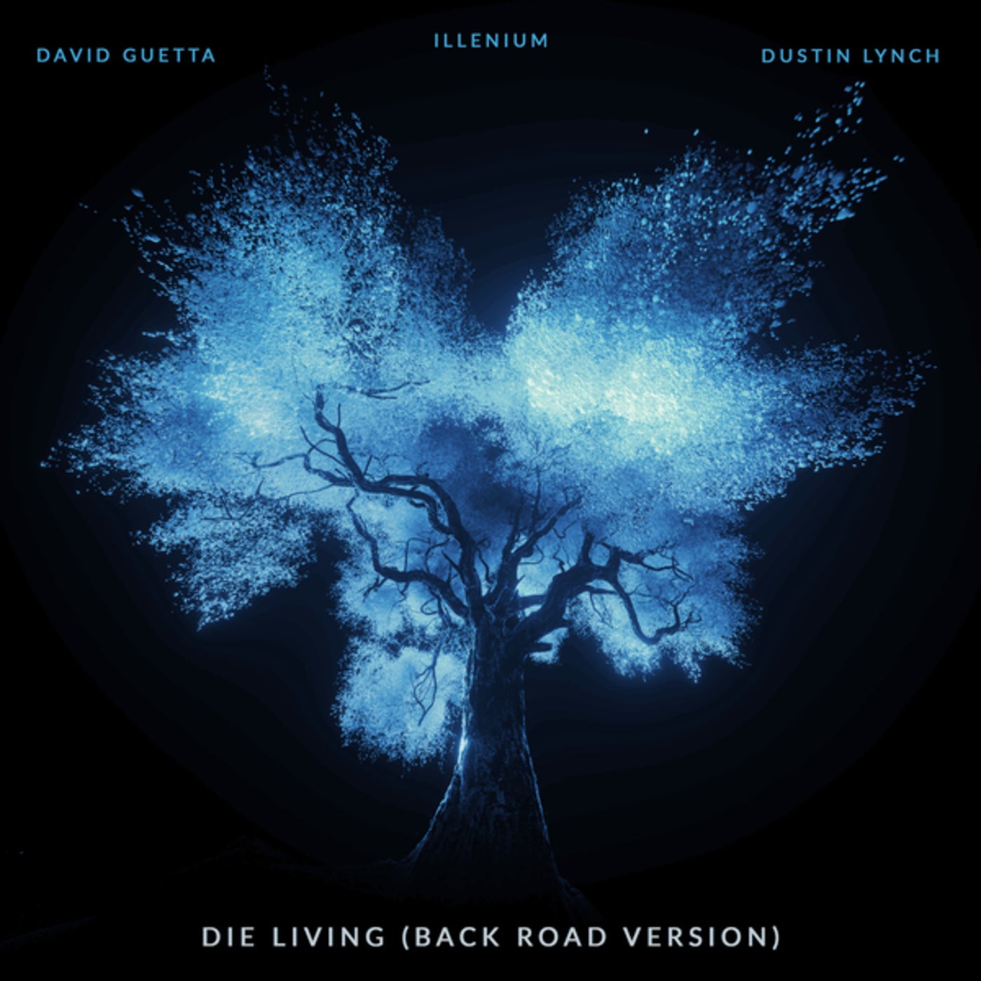 Cover - David Guetta, ILLENIUM, Dustin Lynch - Die Living (Back Road Version) Promo tools