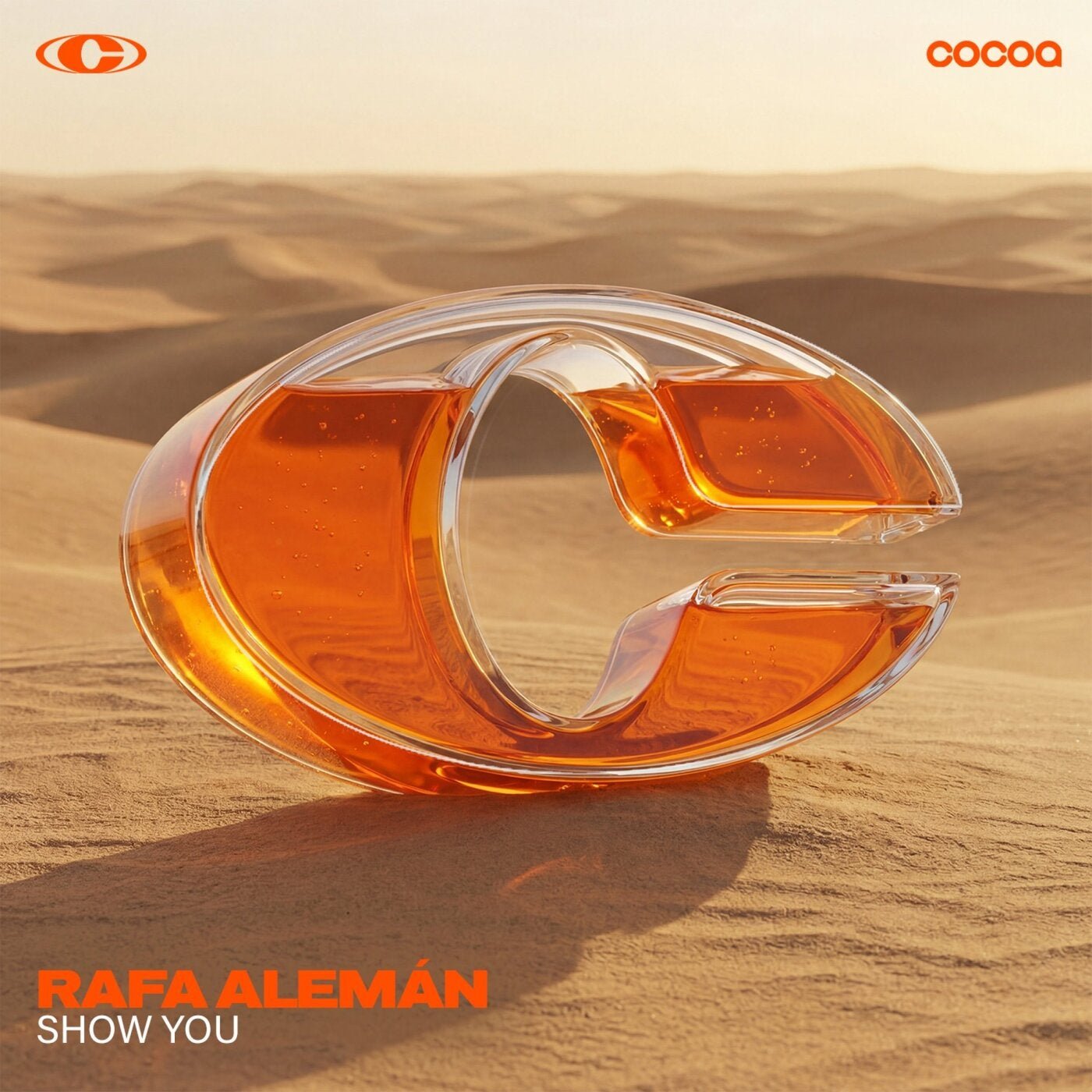 Cover - Rafa Aleman - Show You (Original Mix) Promo tools