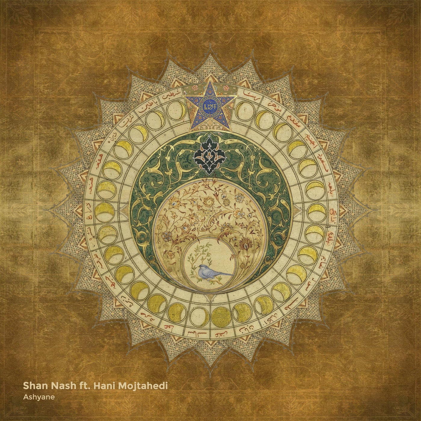 Cover - Shan Nash, Hani Mojtahedy - Ashyane (Original Mix) Promo tools