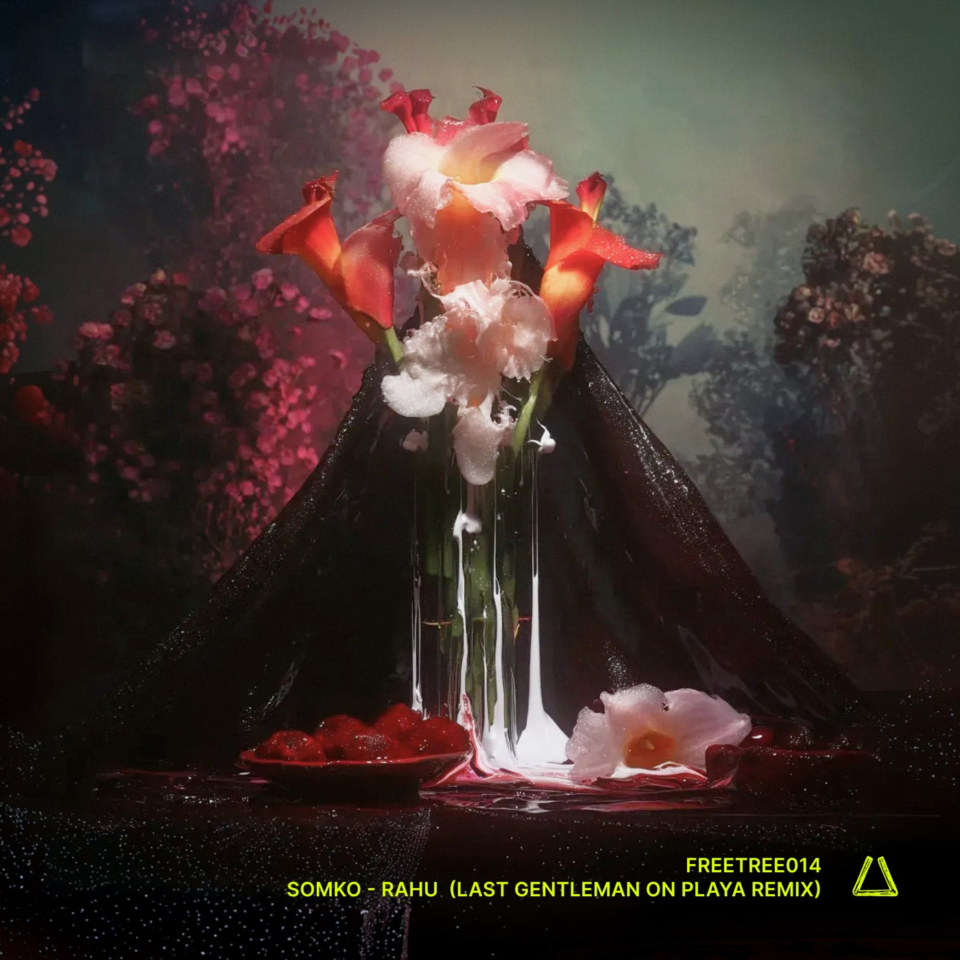 Cover - Somko - Rahu (Last Gentleman On Playa Remix) Promo tools