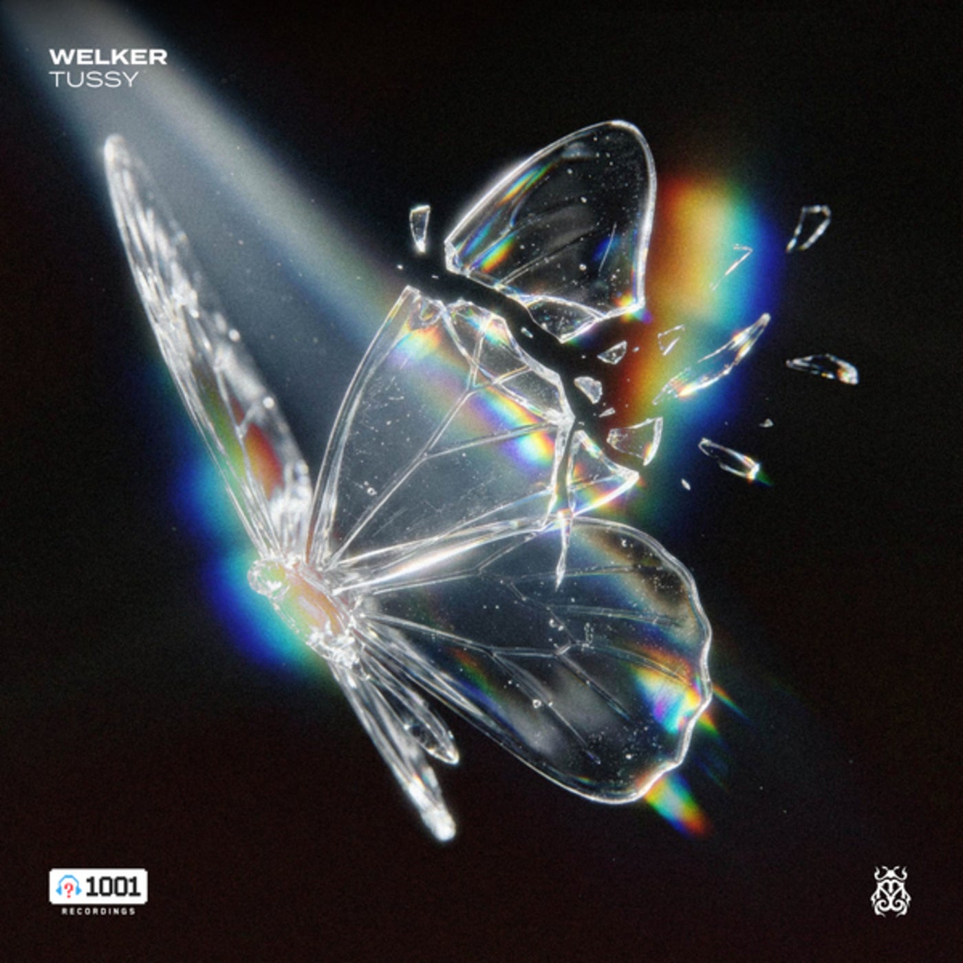 Cover - WELKER (BR) - Tussy (Extended Mix) Promo tools