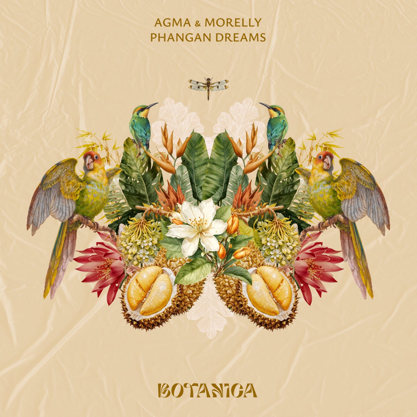 Cover - Morelly, AGMA - Phangan Dreams (Original Mix) Promo tools