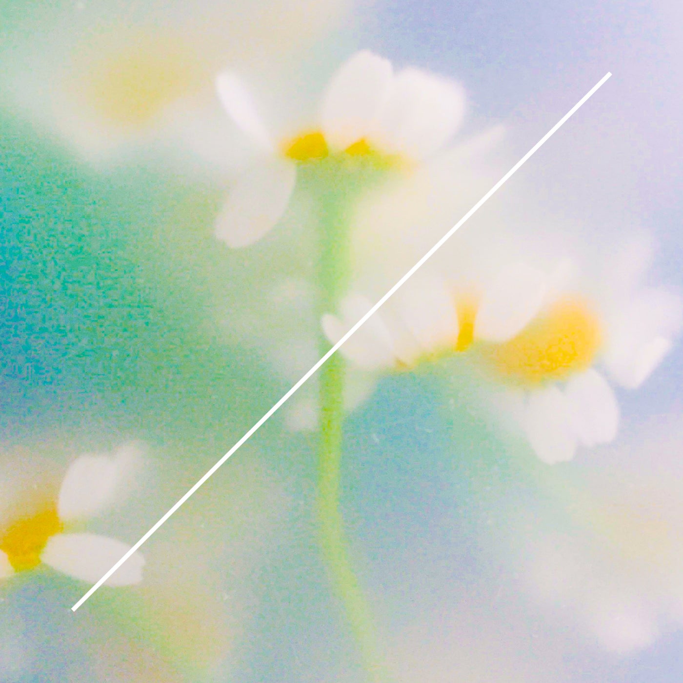 Cover - Kered - Where Are You Taking Us? (Limara Remix) Promo tools