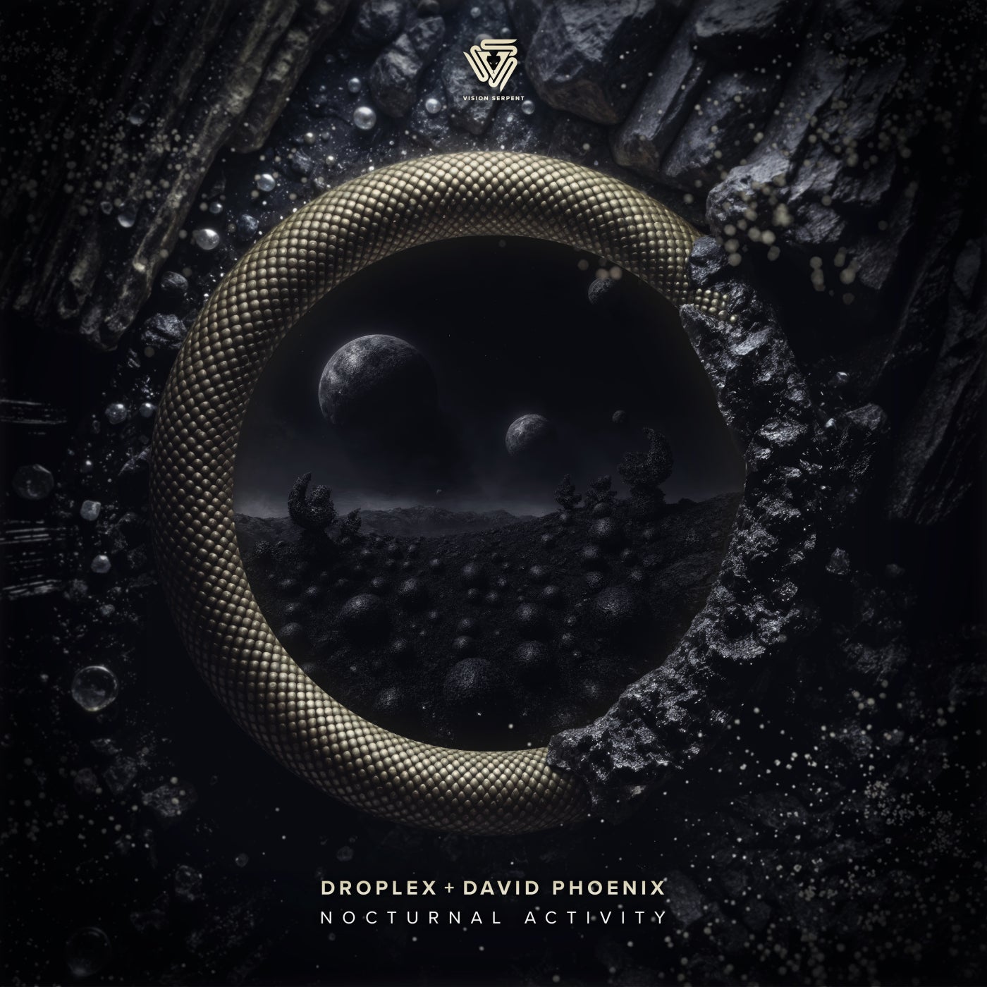 Cover - Droplex, David Phoenix - Nocturnal Activity (Original Mix) Promo tools