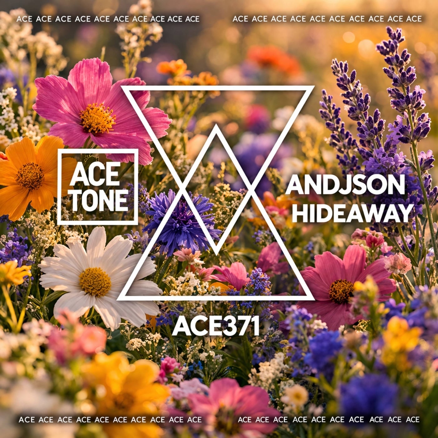 Cover - Andjson - Hideaway (Original Mix) Promo tools