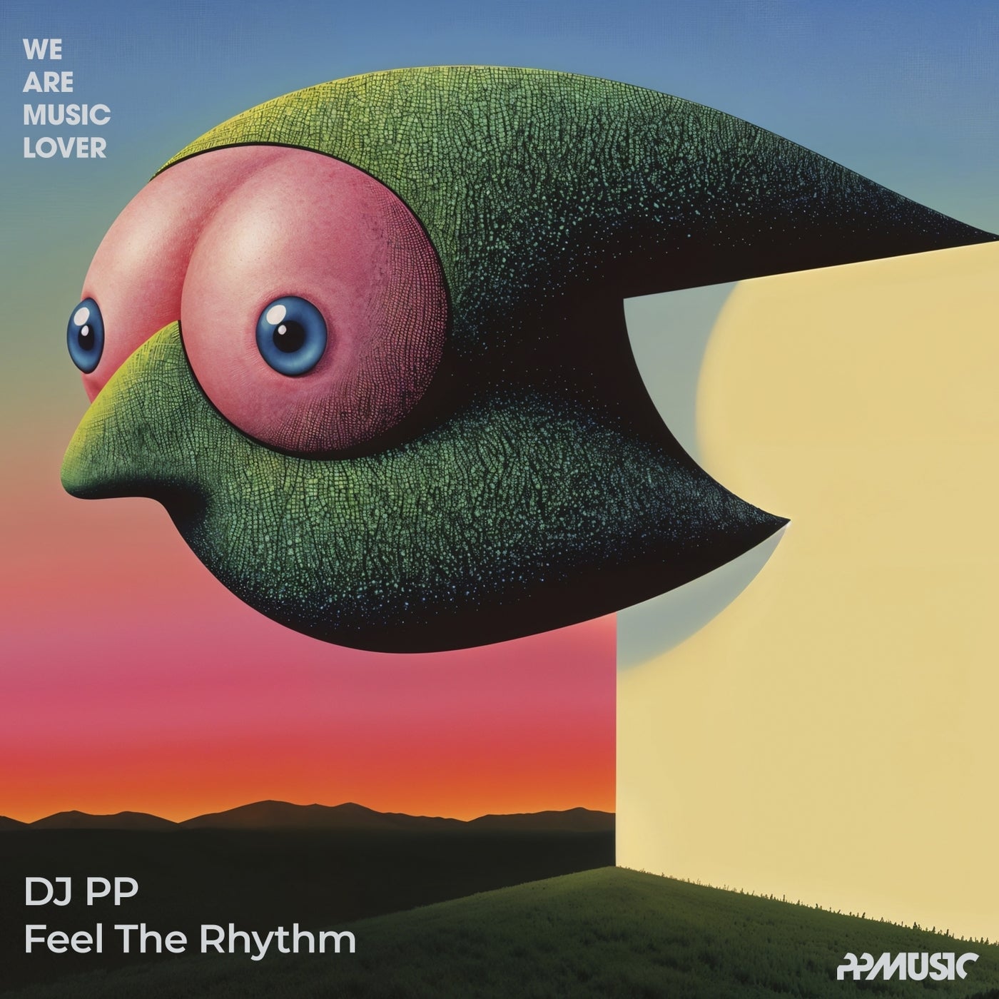Cover - DJ PP - Feel The Rhythm (Extended Mix) Promo tools