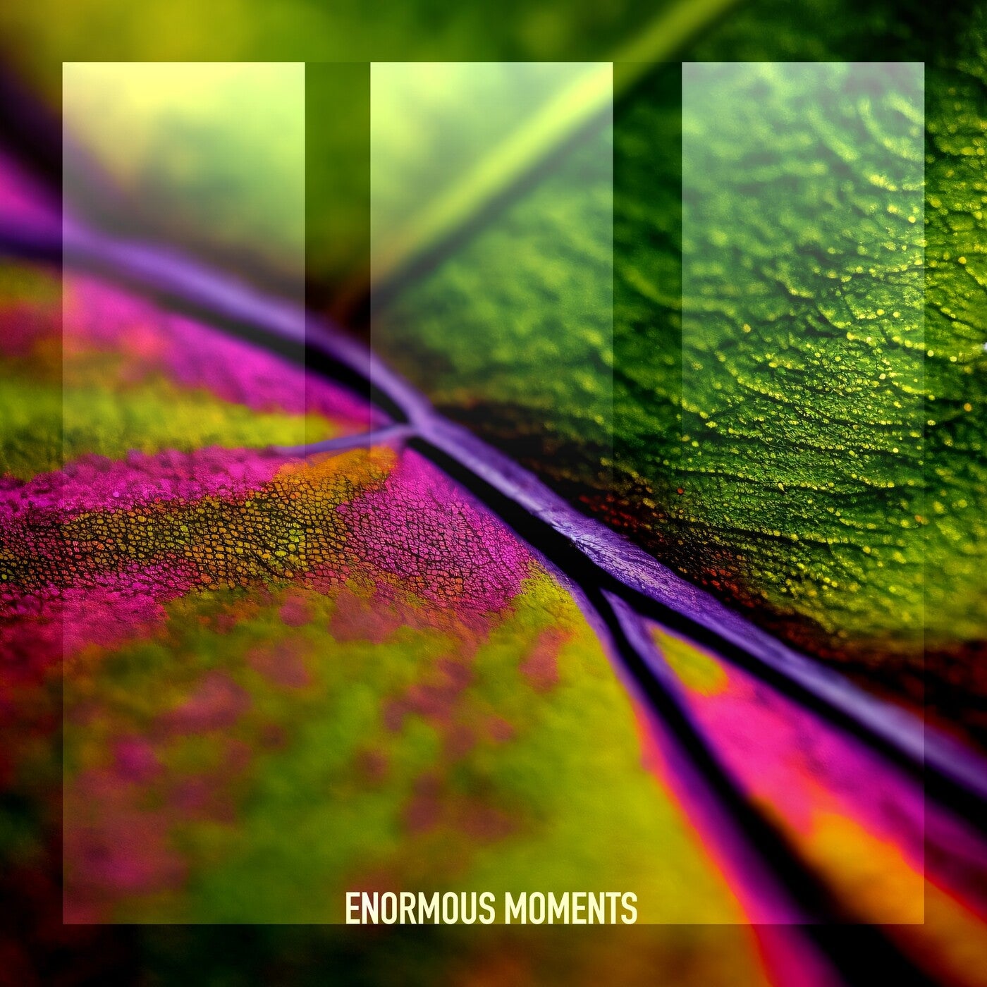 Cover - Alley SA - In the Forest (Extended Mix) Promo tools