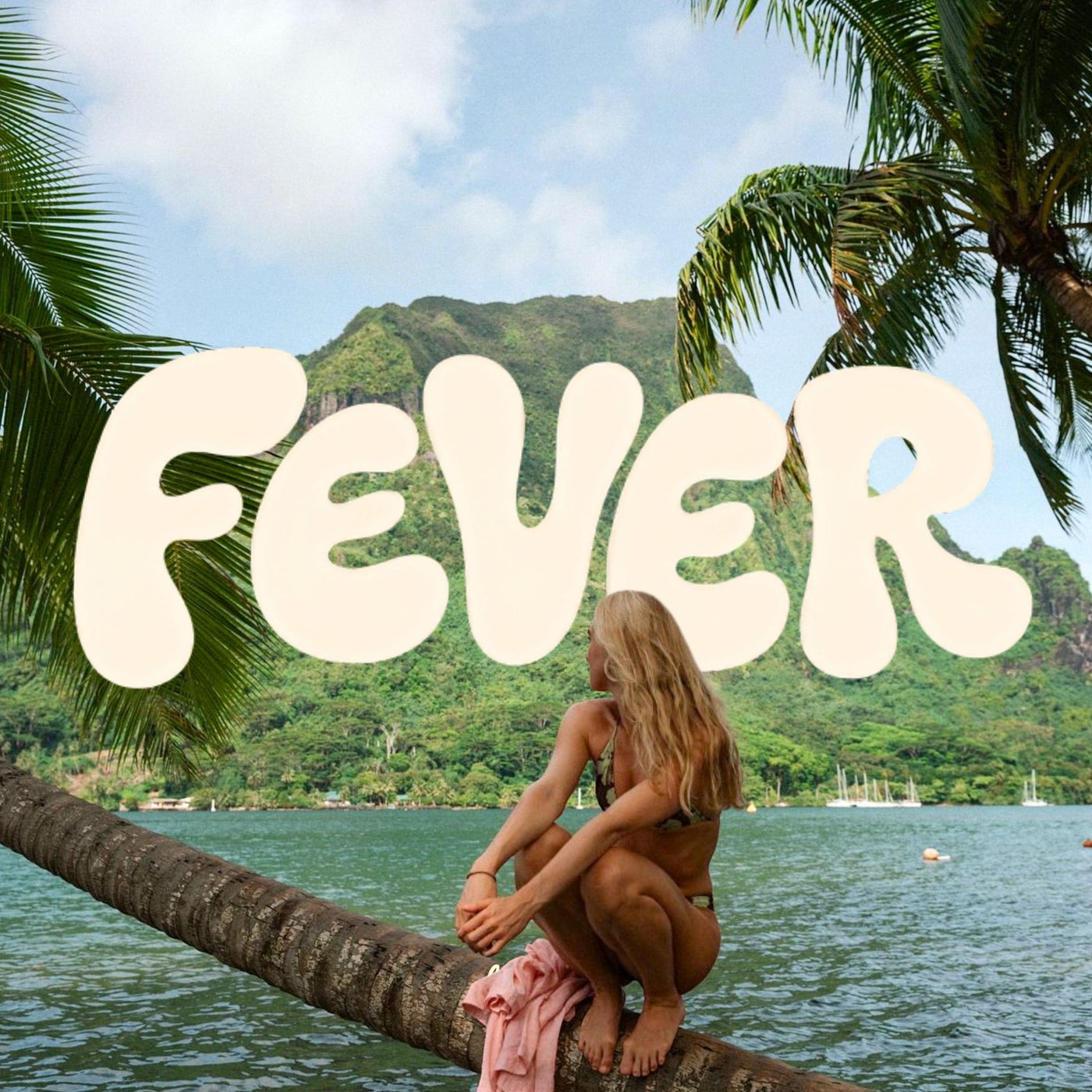 Cover - Palm Monkey, Heliograph - FEVER (Original Mix) Promo tools