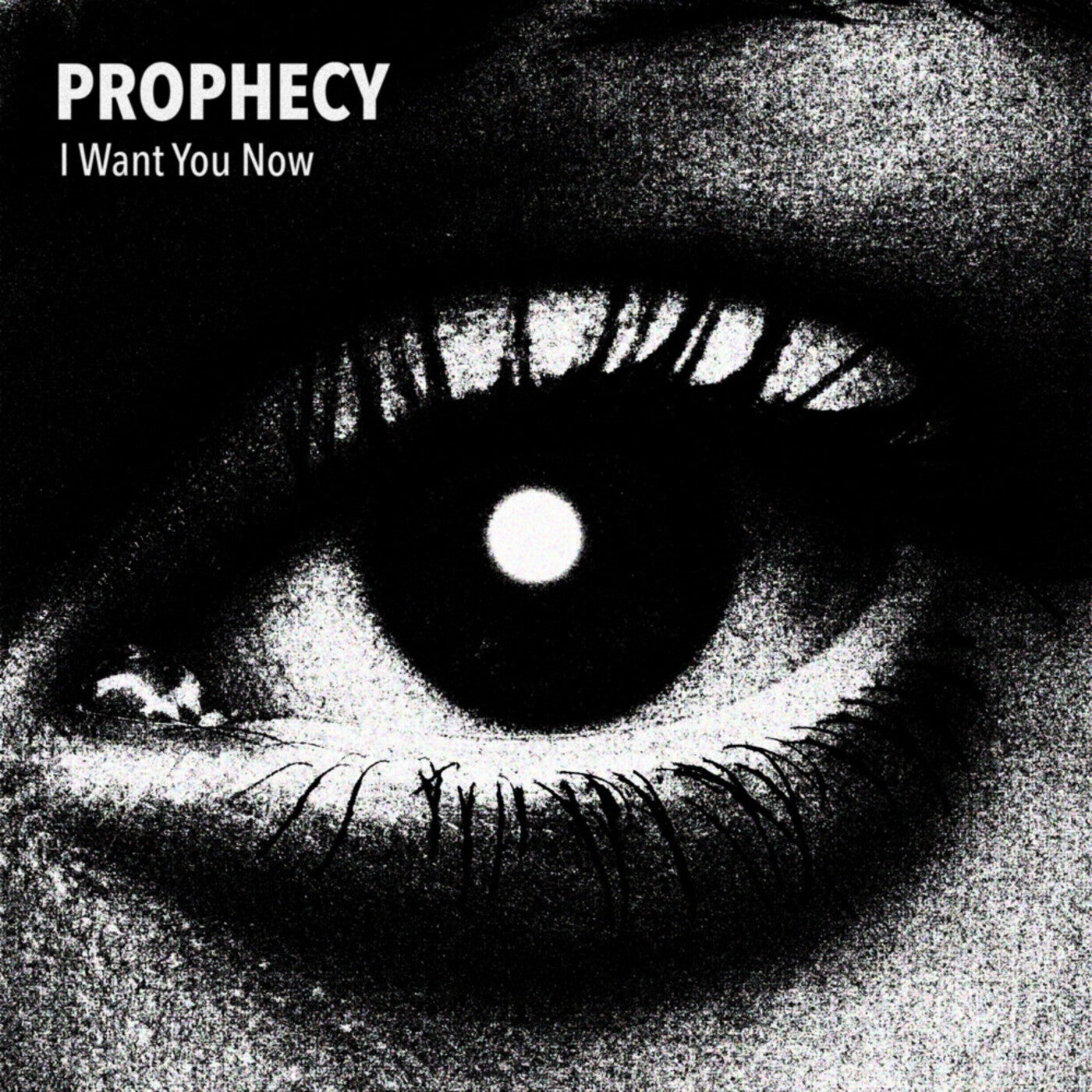 Cover - Prophecy - I Want You Now (Extended Mix) Promo tools