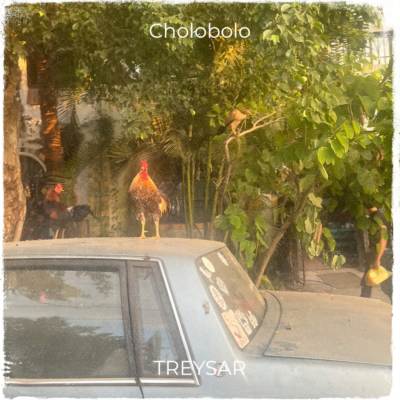 Cover - TREYSAR - Cholobolo (Original Mix) Promo tools