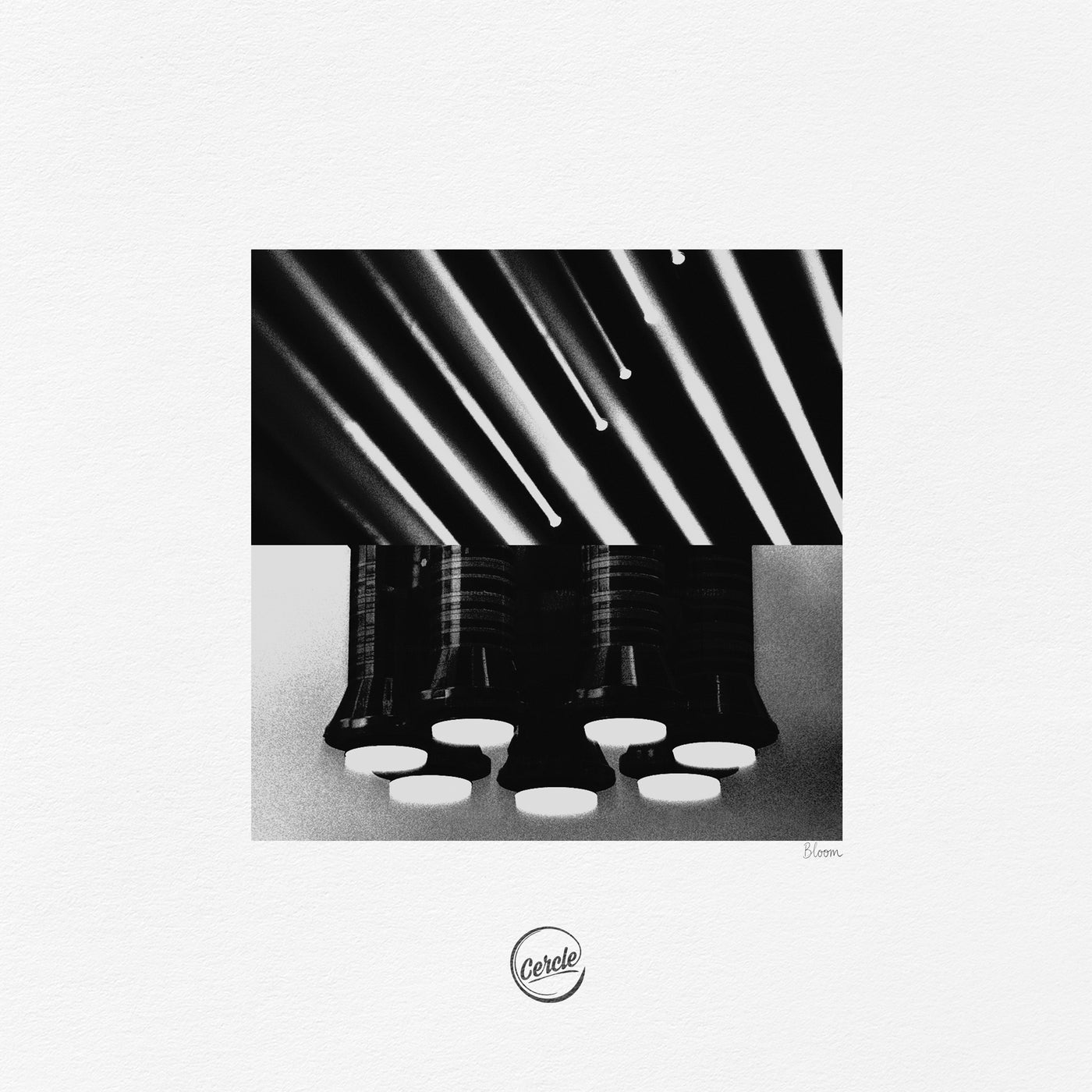 Cover - Freedom Fighters, ANNA (BR) - Bloom (Extended Version) Promo tools