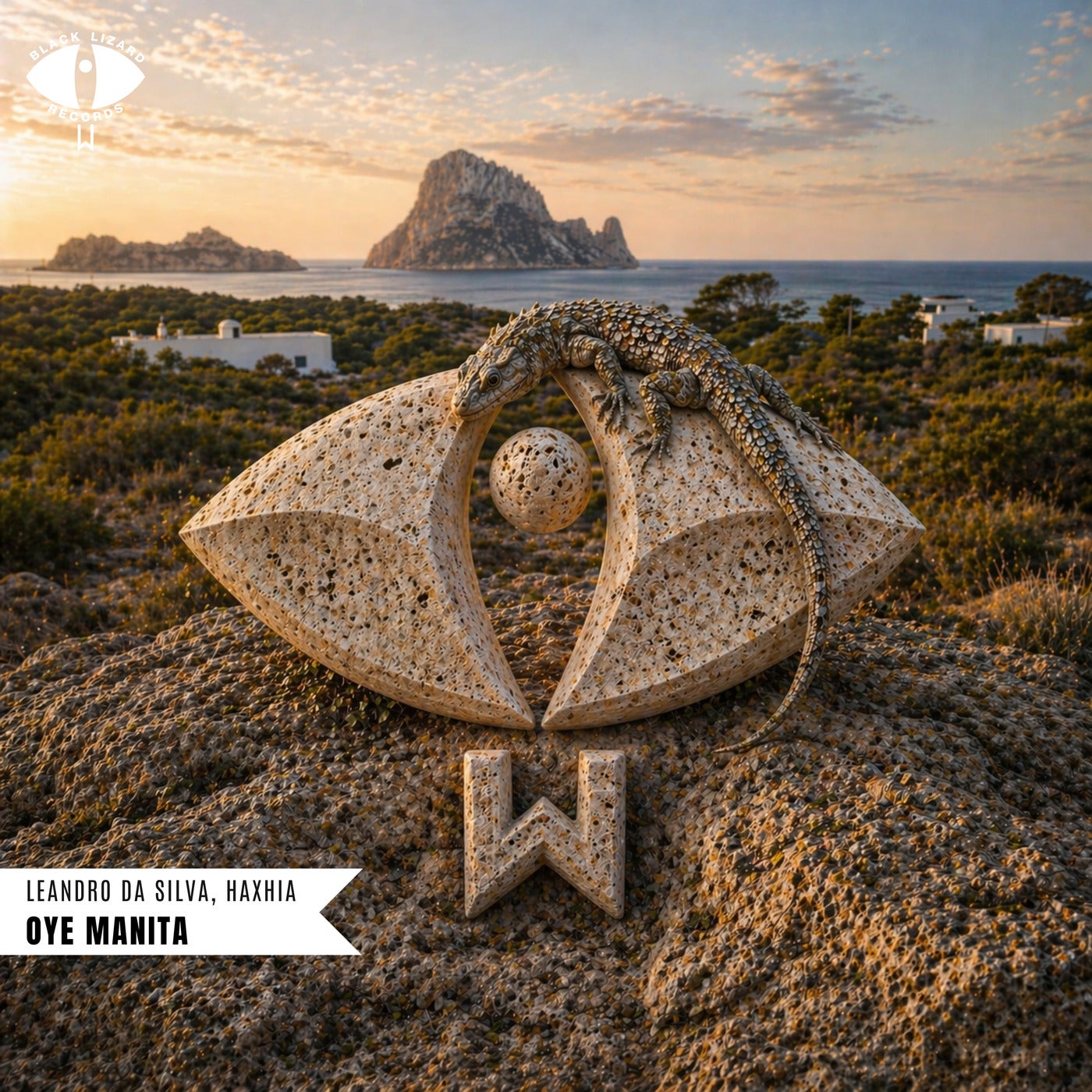 Cover - Leandro Da Silva, Haxhia - Oye Manita (Original Mix) Promo tools