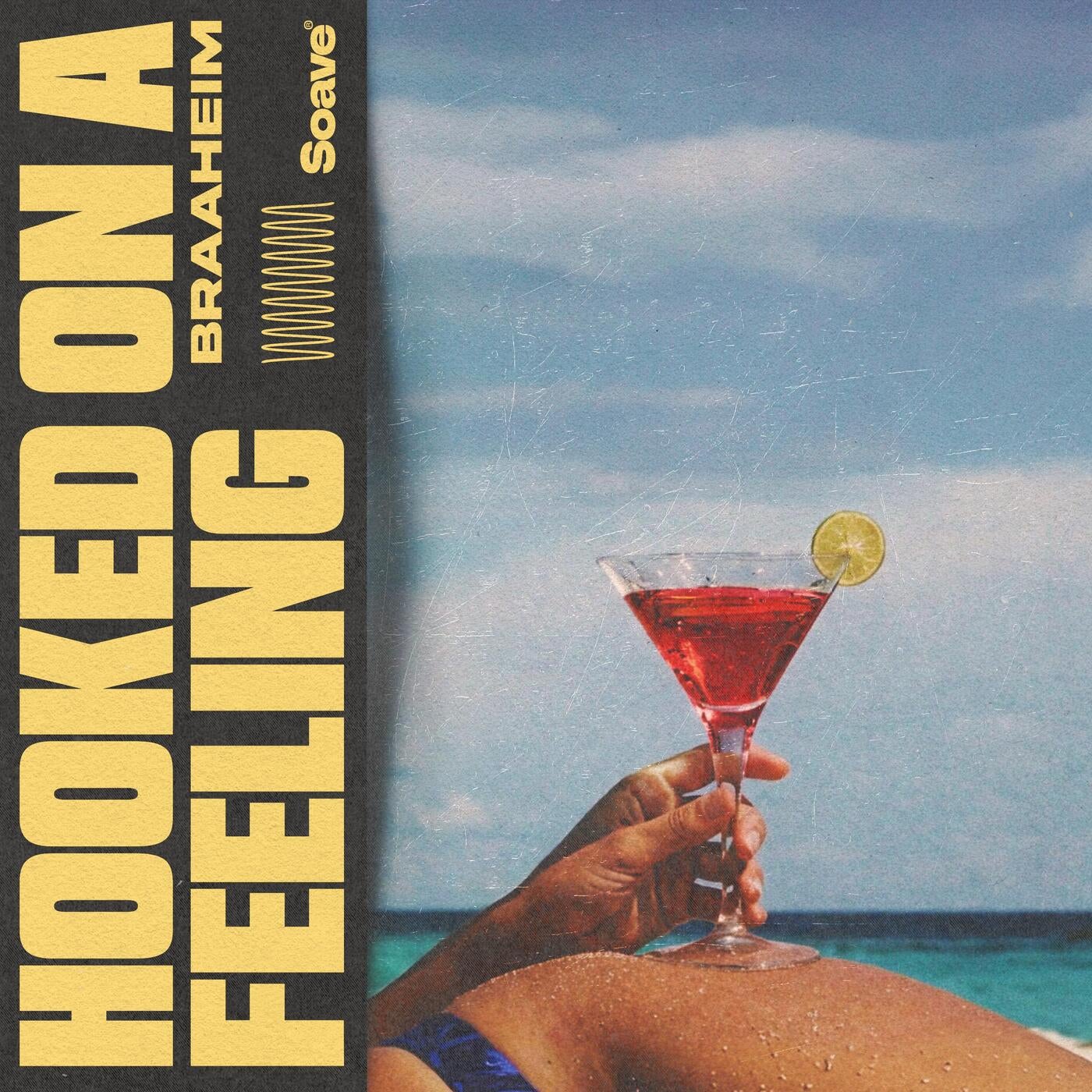 Cover - Braaheim - Hooked On A Feeling (Extended Mix) Promo tools
