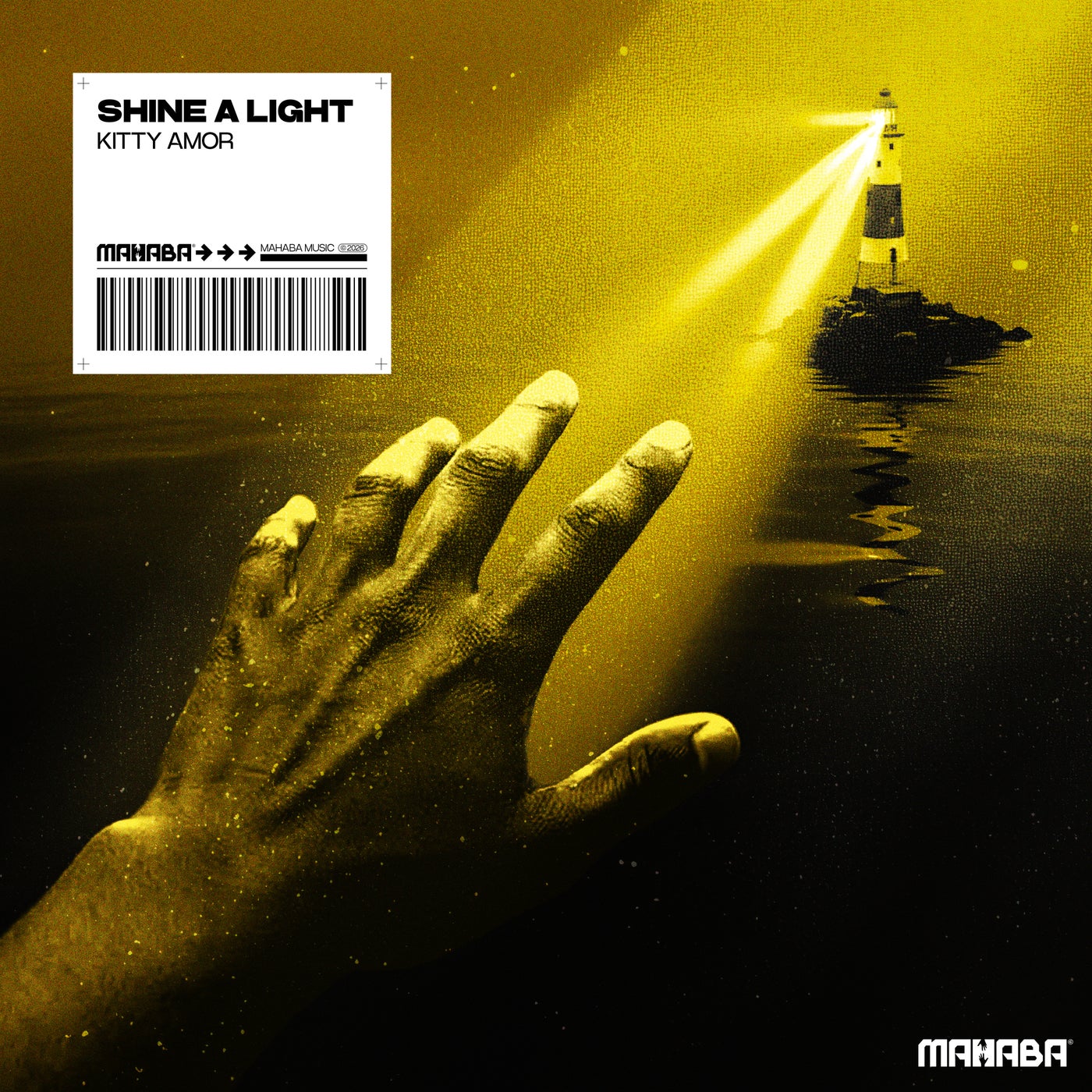 Cover - Kitty Amor - Shine A Light (Original Mix) Promo tools