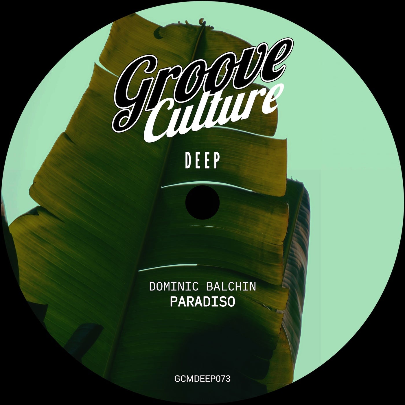 Cover - Dominic Balchin - Tropical Interlude (Extended) Promo tools
