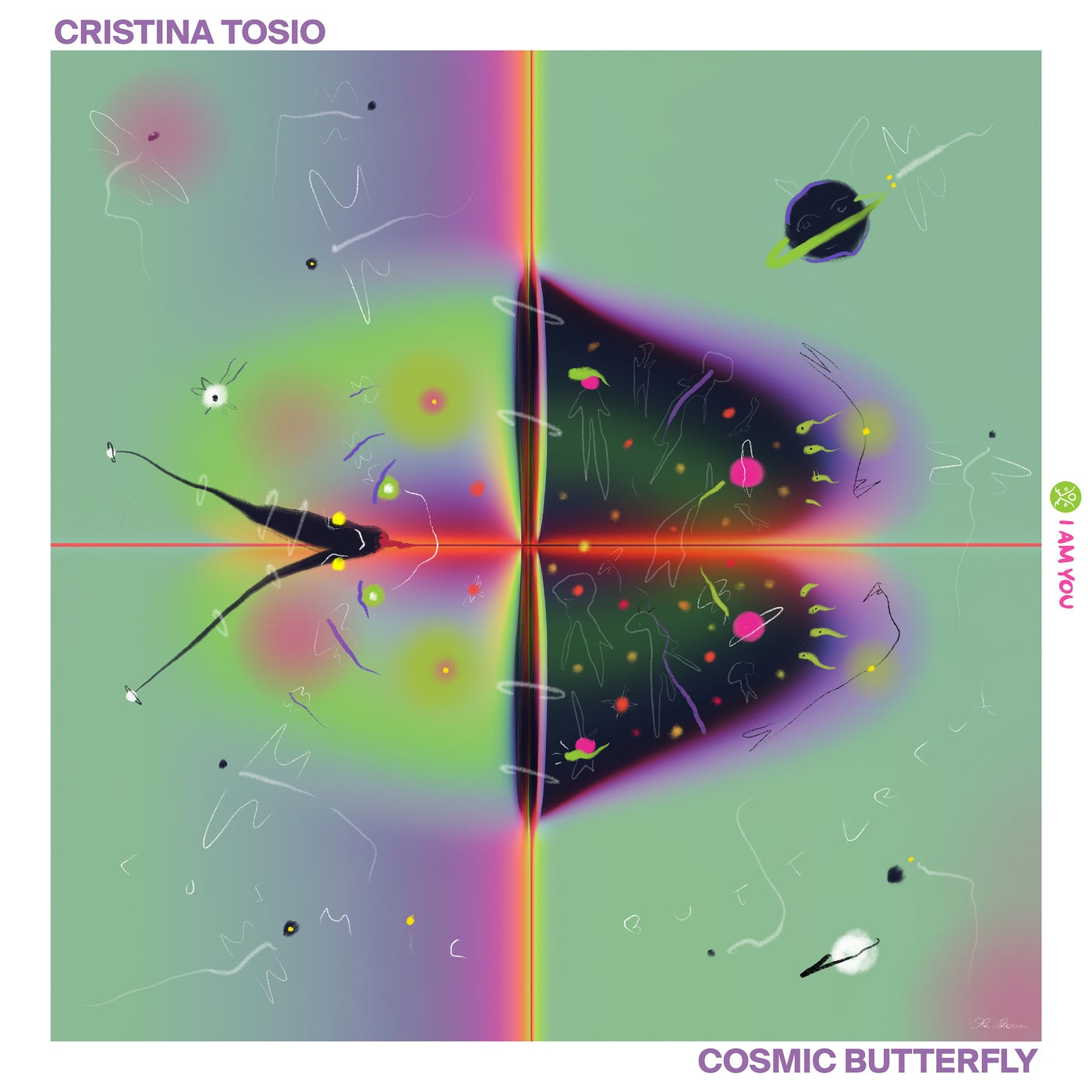 Cover - Cristina Tosio - Cosmic Butterfly (Original Mix) Promo tools