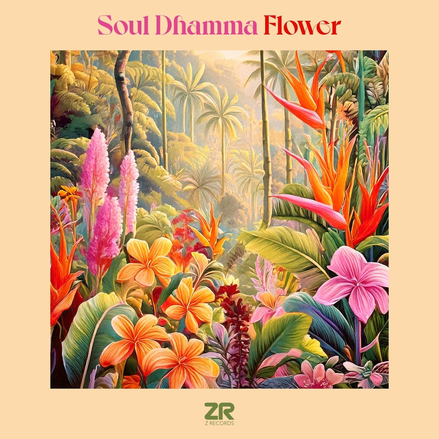 Cover - Soul Dhamma - Flower (Dave Lee's Boogiefied Mix) Promo tools