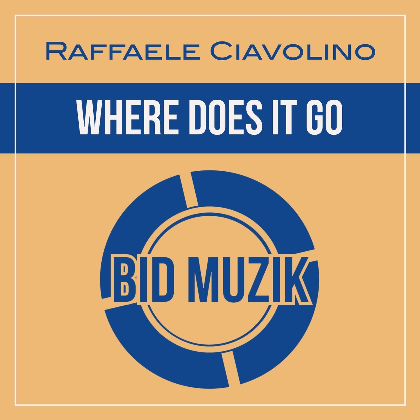 Cover - Raffaele Ciavolino - Where Does It Go (Original Mix) Promo tools