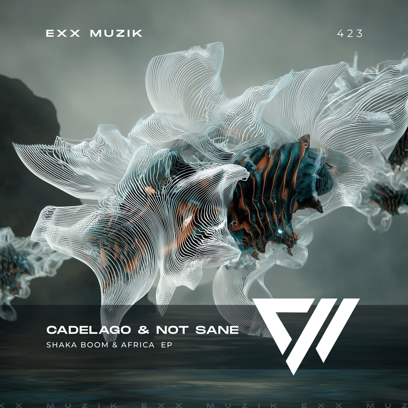 Cover - CADELAGO, NOT SANE - Afrika (Extended Mix) Promo tools