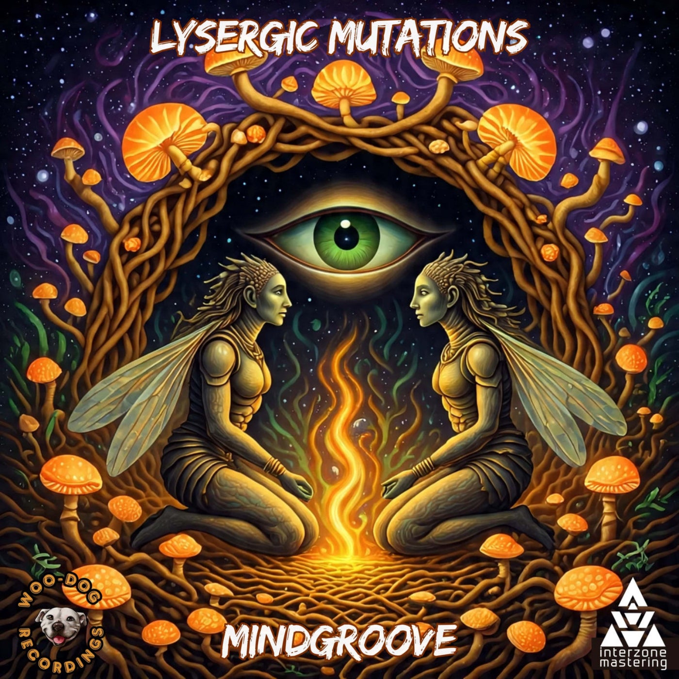 Cover - MindGroove - Philosophy Of Life (Original Mix) Promo tools